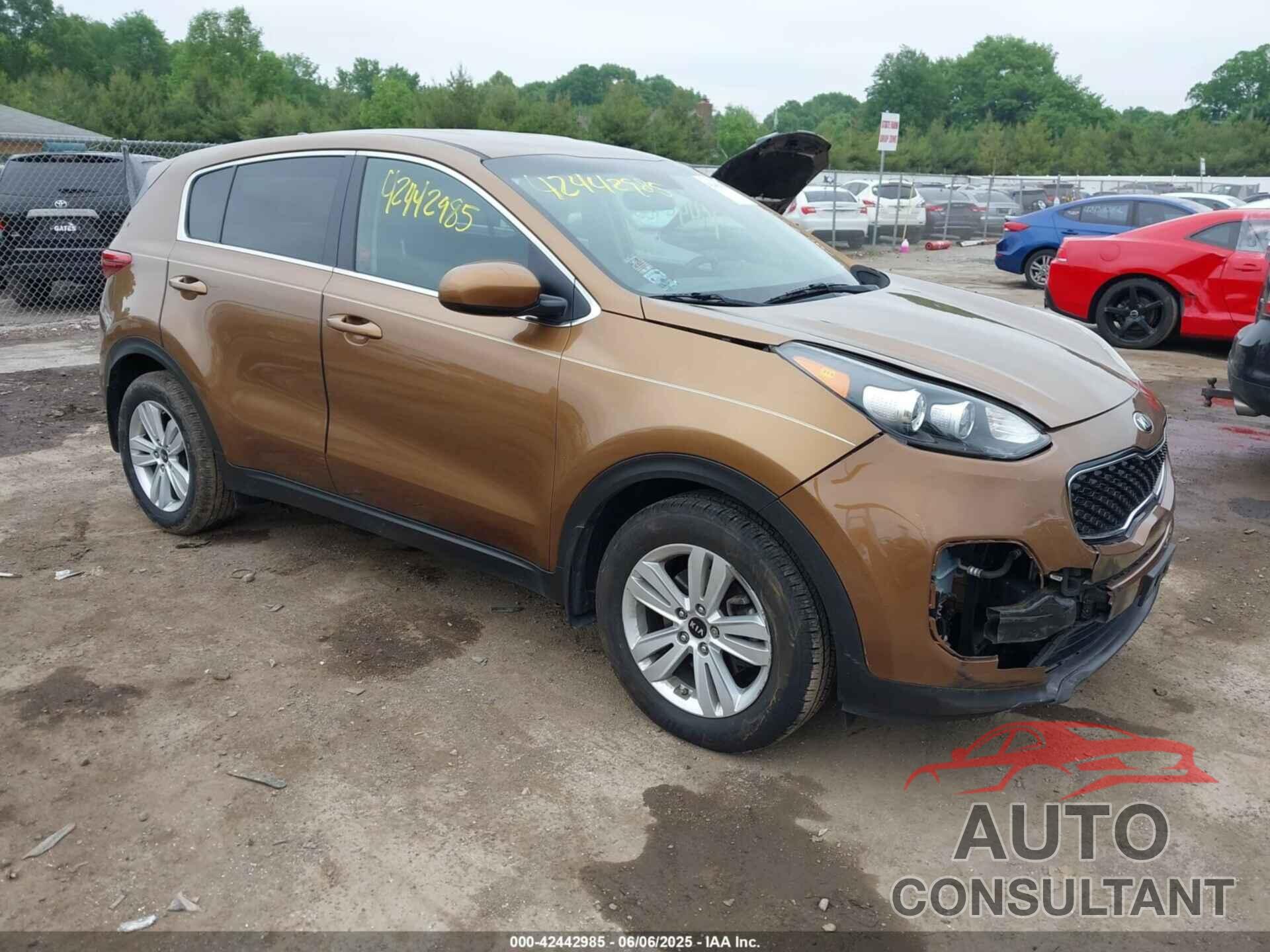 KIA SPORTAGE 2017 - KNDPM3AC0H7136550