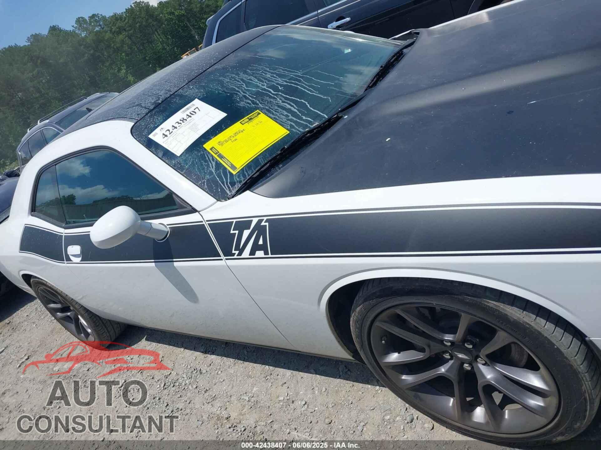 DODGE CHALLENGER 2023 - 2C3CDZBTXPH669206