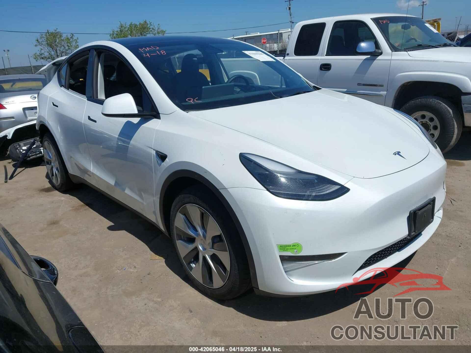 TESLA MODEL Y 2023 - 7SAYGDEE1PF660444