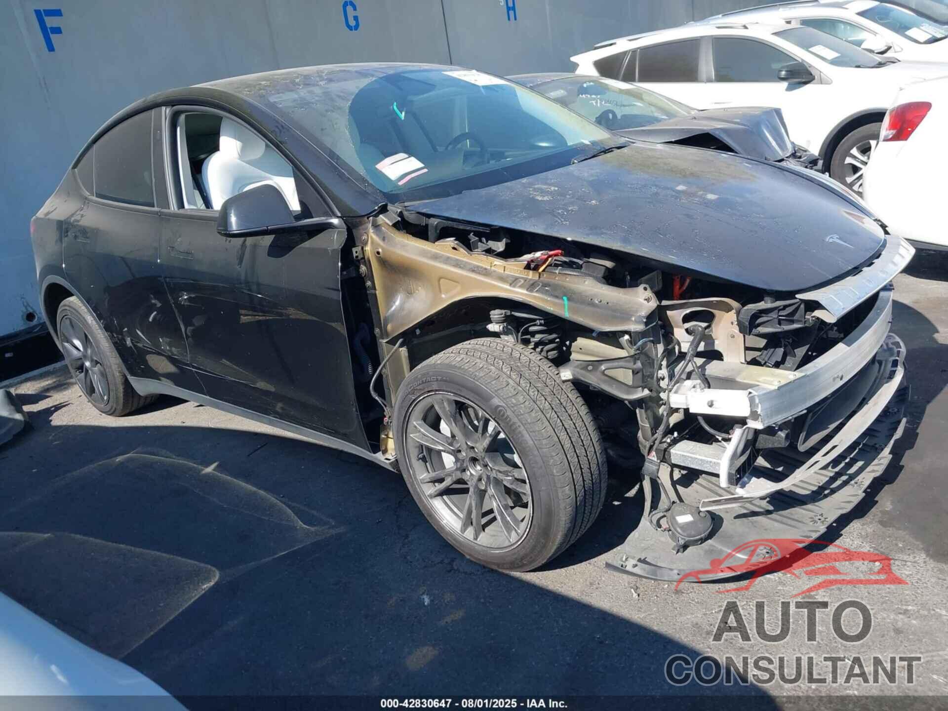 TESLA MODEL Y 2024 - 7SAYGDED2RF127531