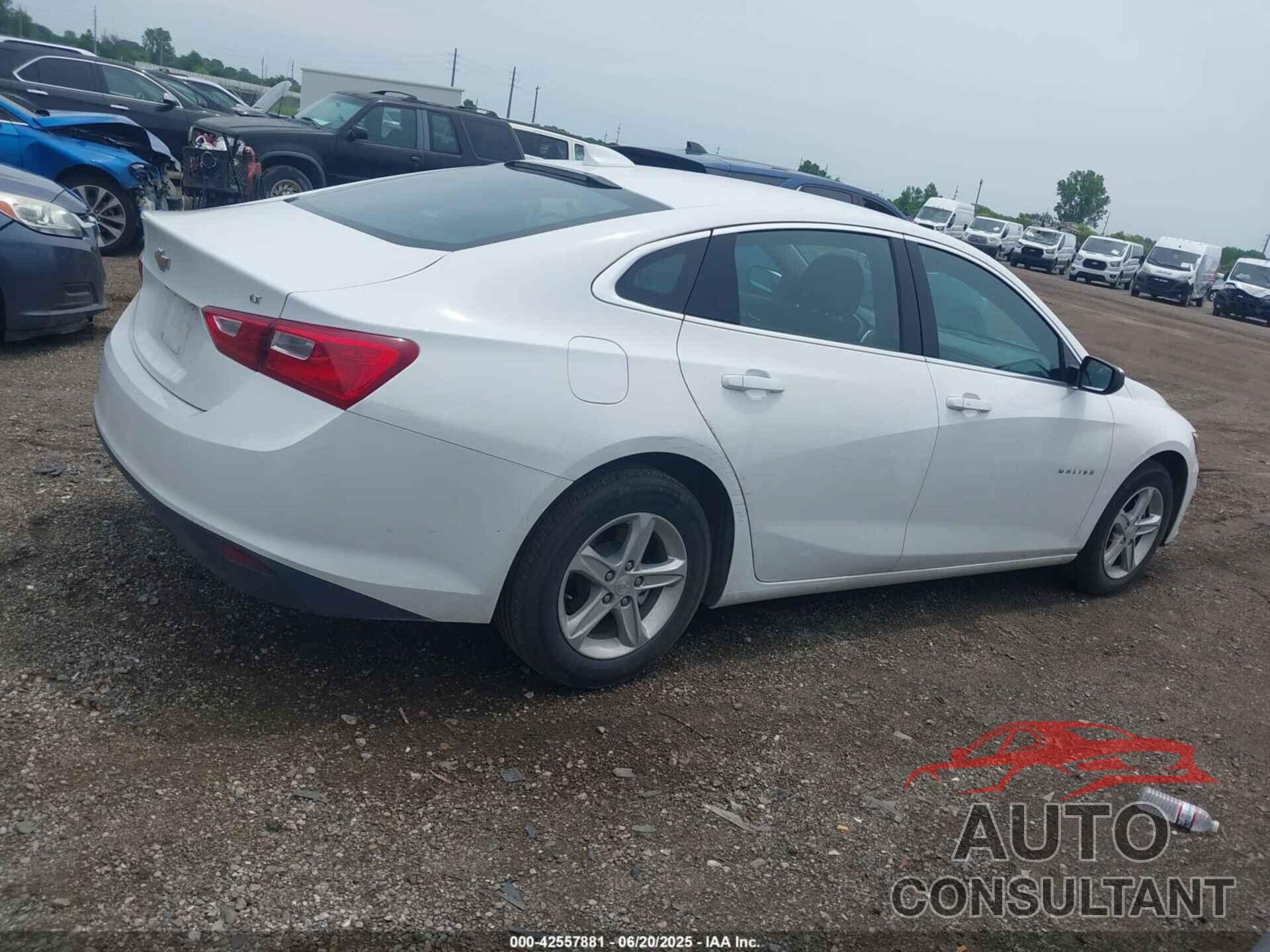 CHEVROLET MALIBU 2023 - 1G1ZD5ST1PF169475