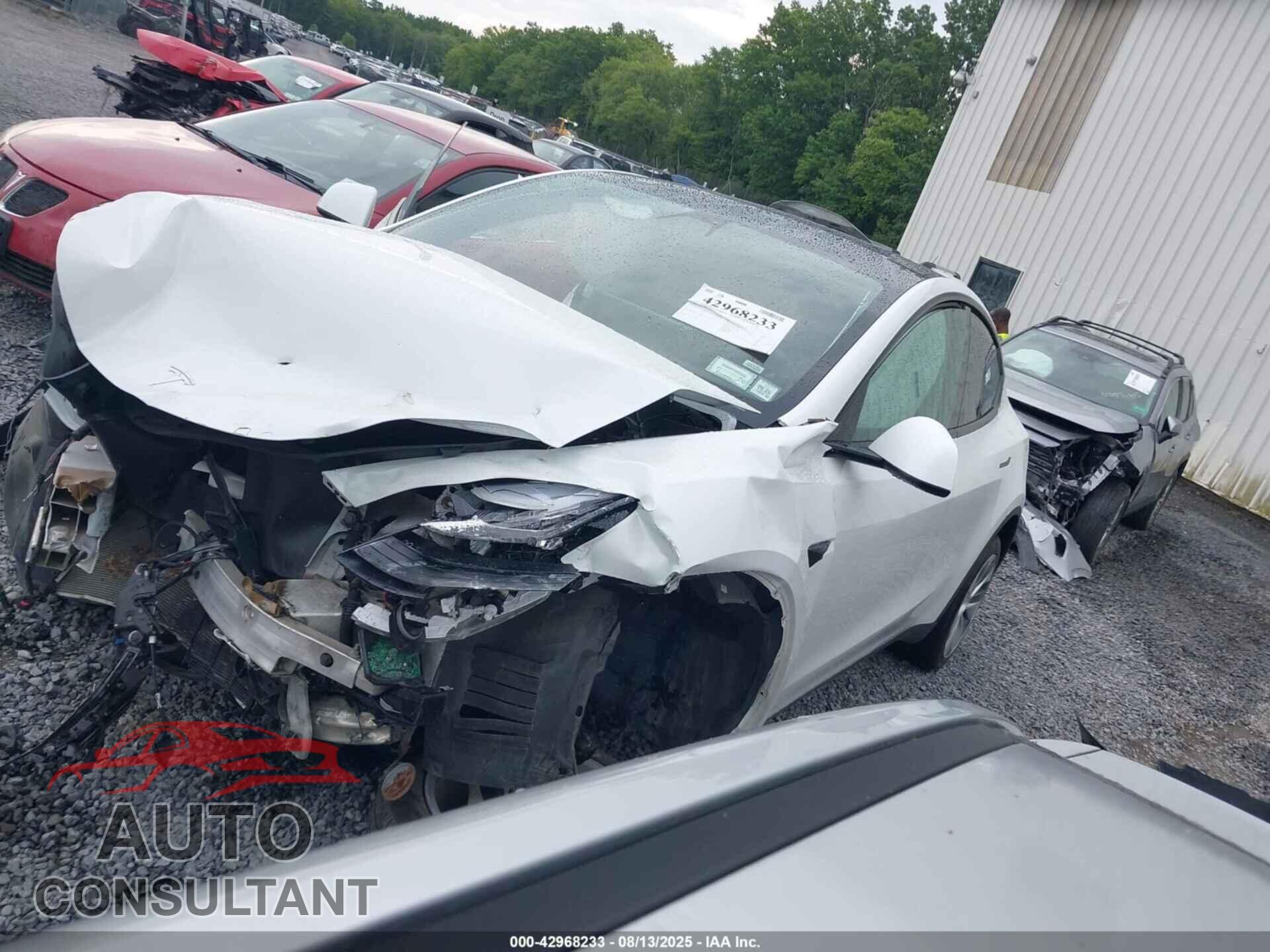 TESLA MODEL Y 2020 - 5YJYGDEF5LF006109