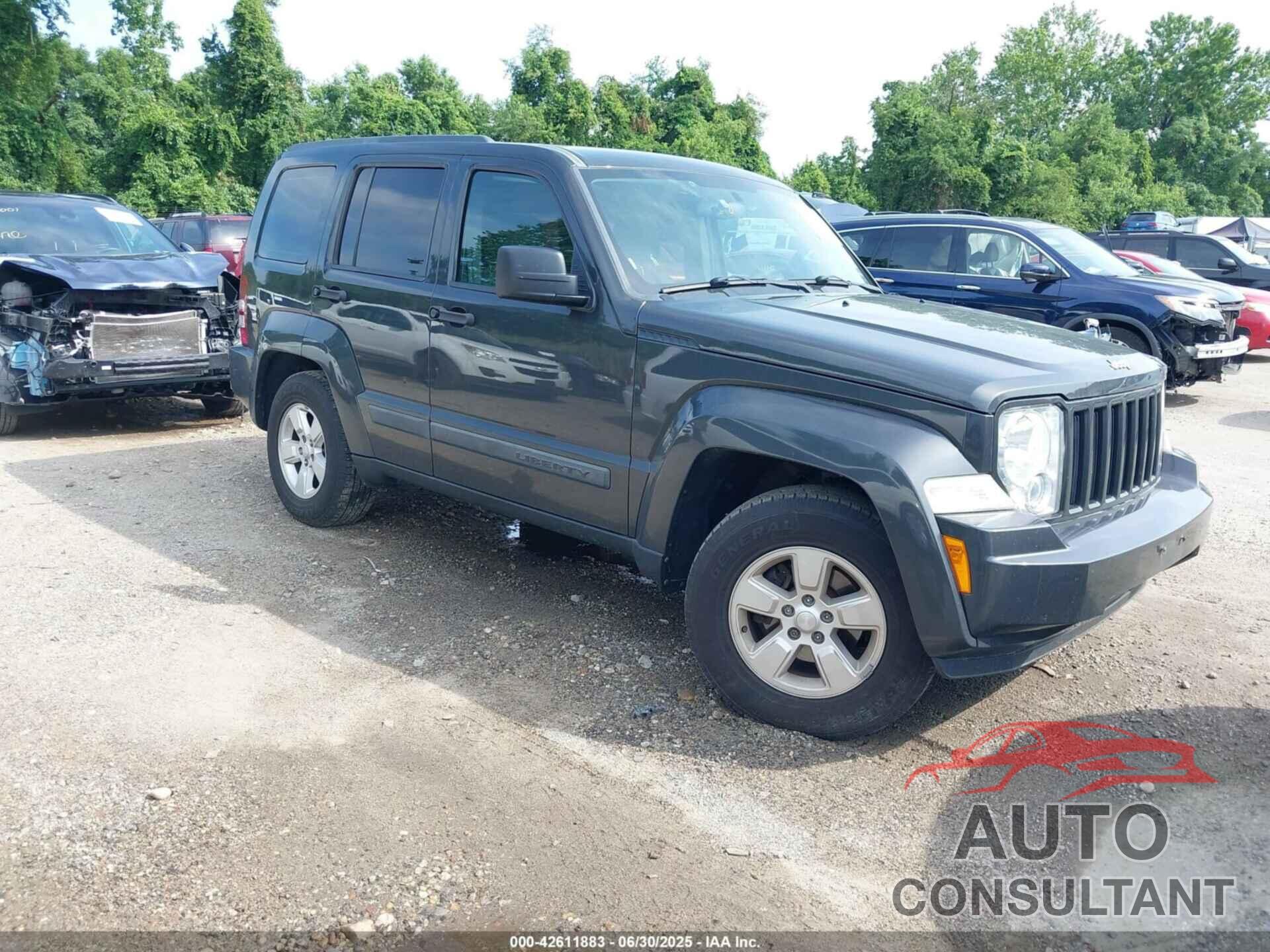 JEEP LIBERTY 2010 - 1J4PN2GK9AW141998