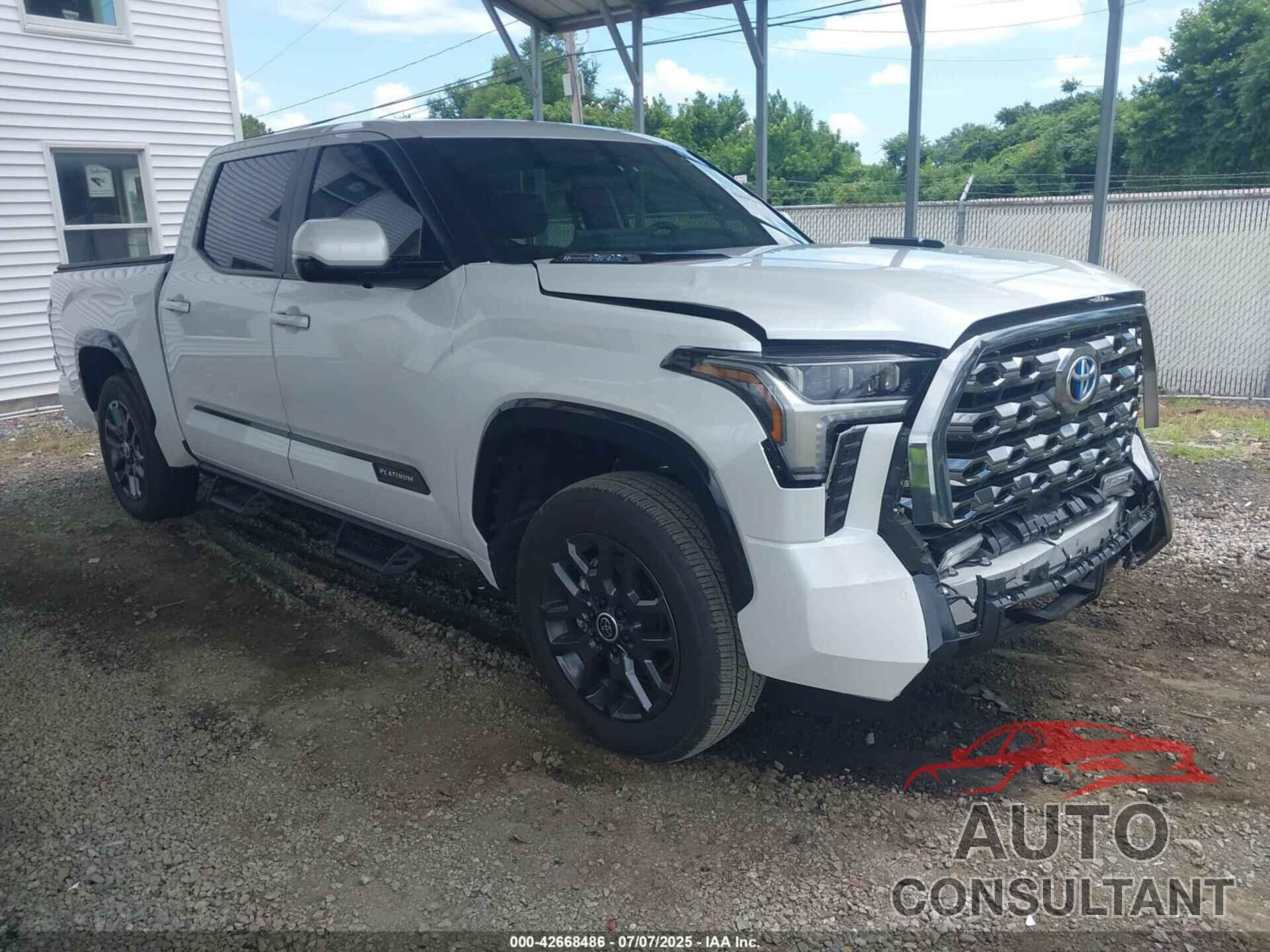 TOYOTA TUNDRA HYBRID 2024 - 5TFNC5DB2RX048819