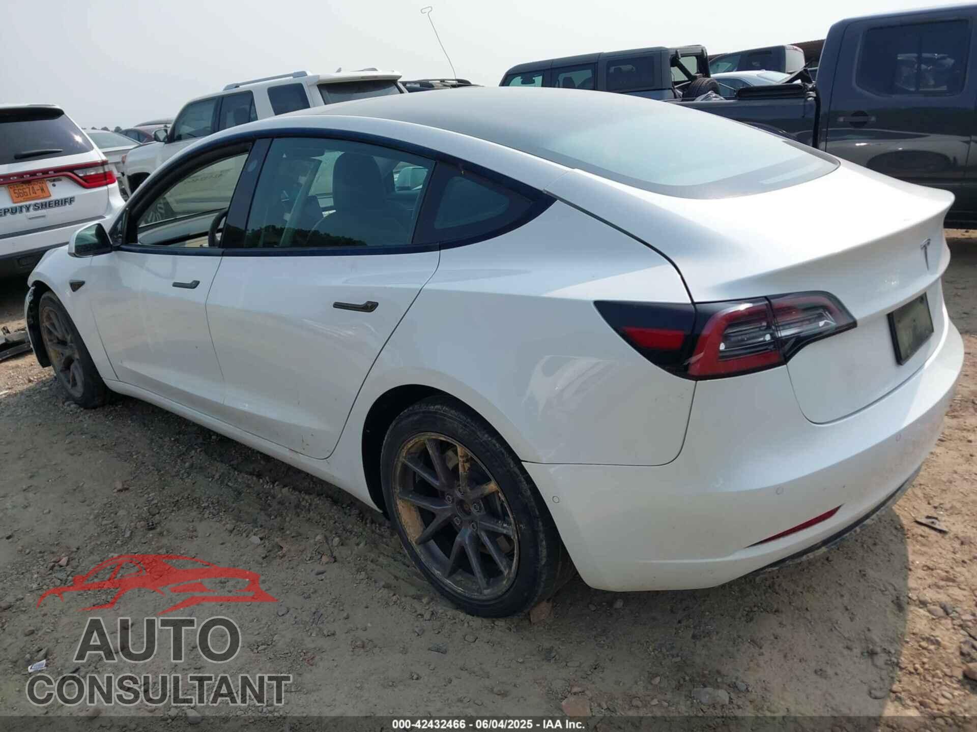 TESLA MODEL 3 2021 - 5YJ3E1EA1MF086741