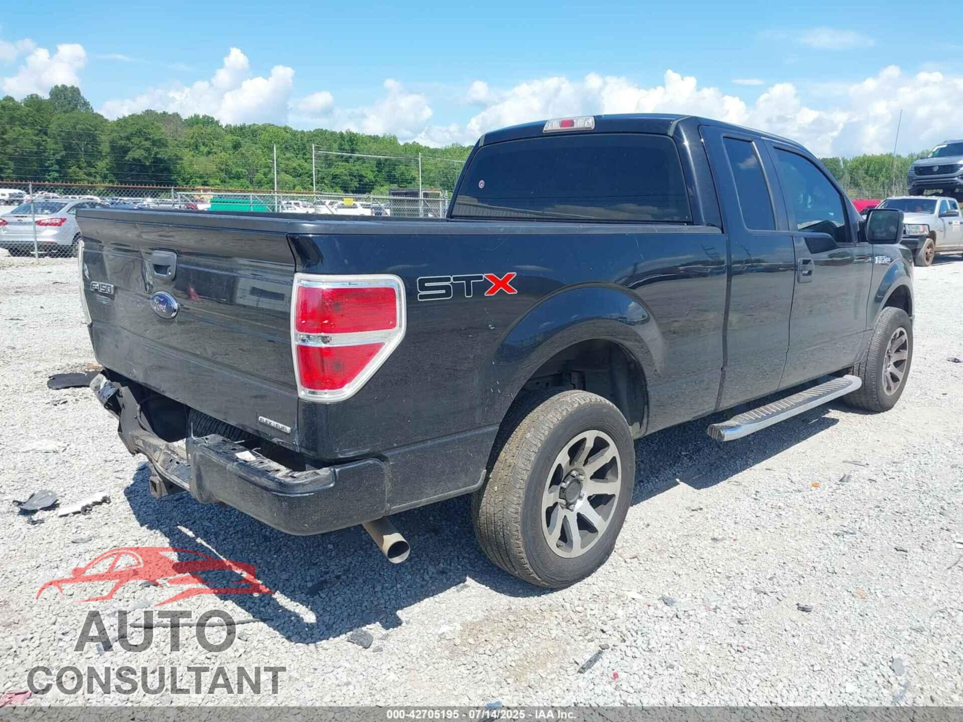 FORD F-150 2013 - 1FTFX1CF3DFD22386