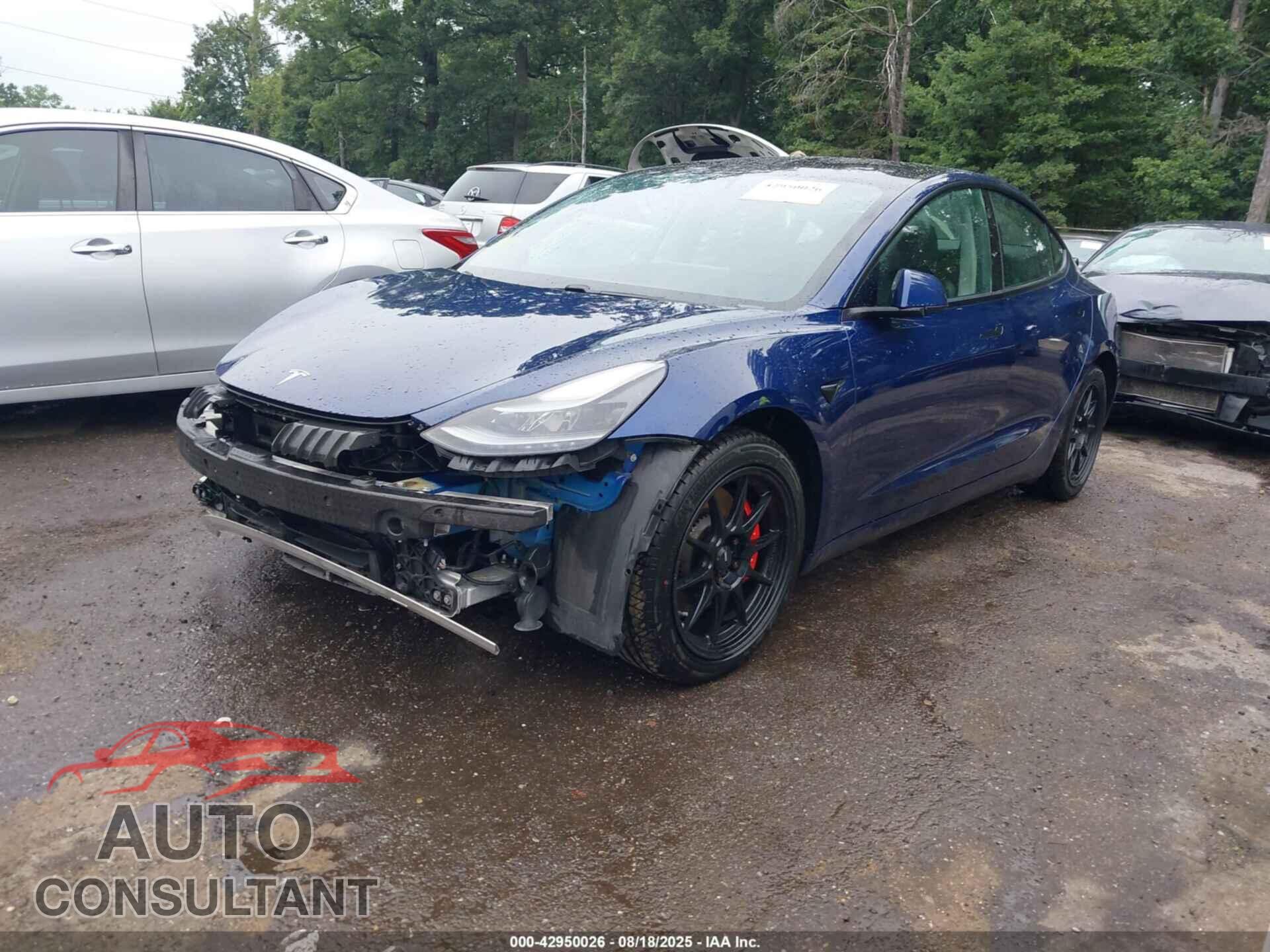 TESLA MODEL 3 2021 - 5YJ3E1EC7MF991261