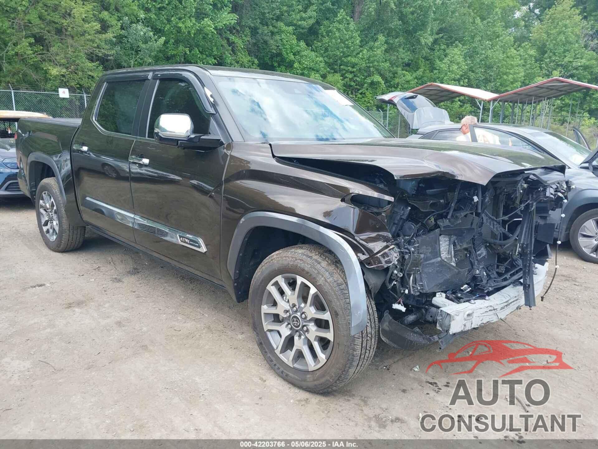 TOYOTA TUNDRA 2024 - 5TFMA5DB5RX145336
