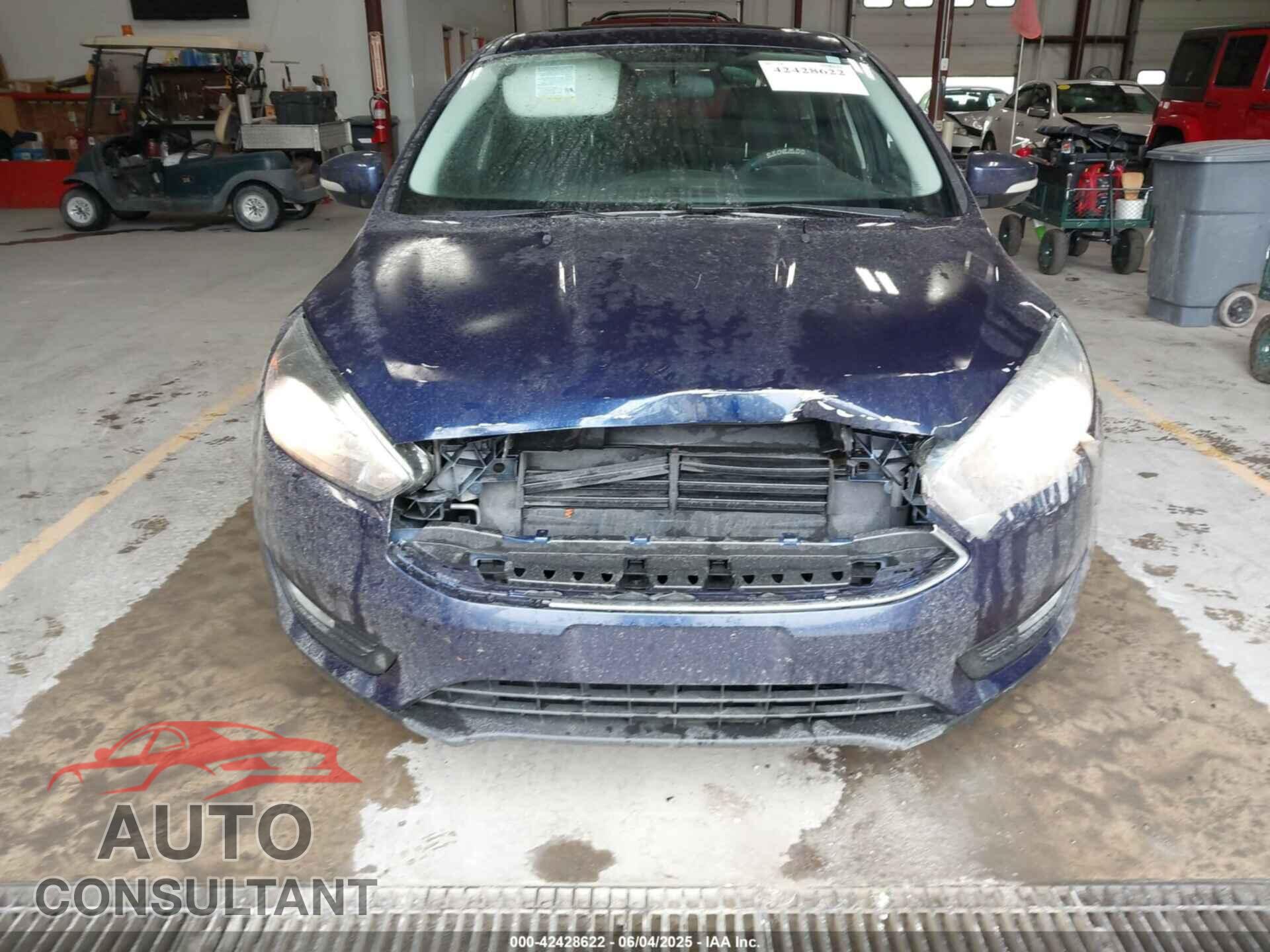 FORD FOCUS 2016 - 1FADP3F29GL242792