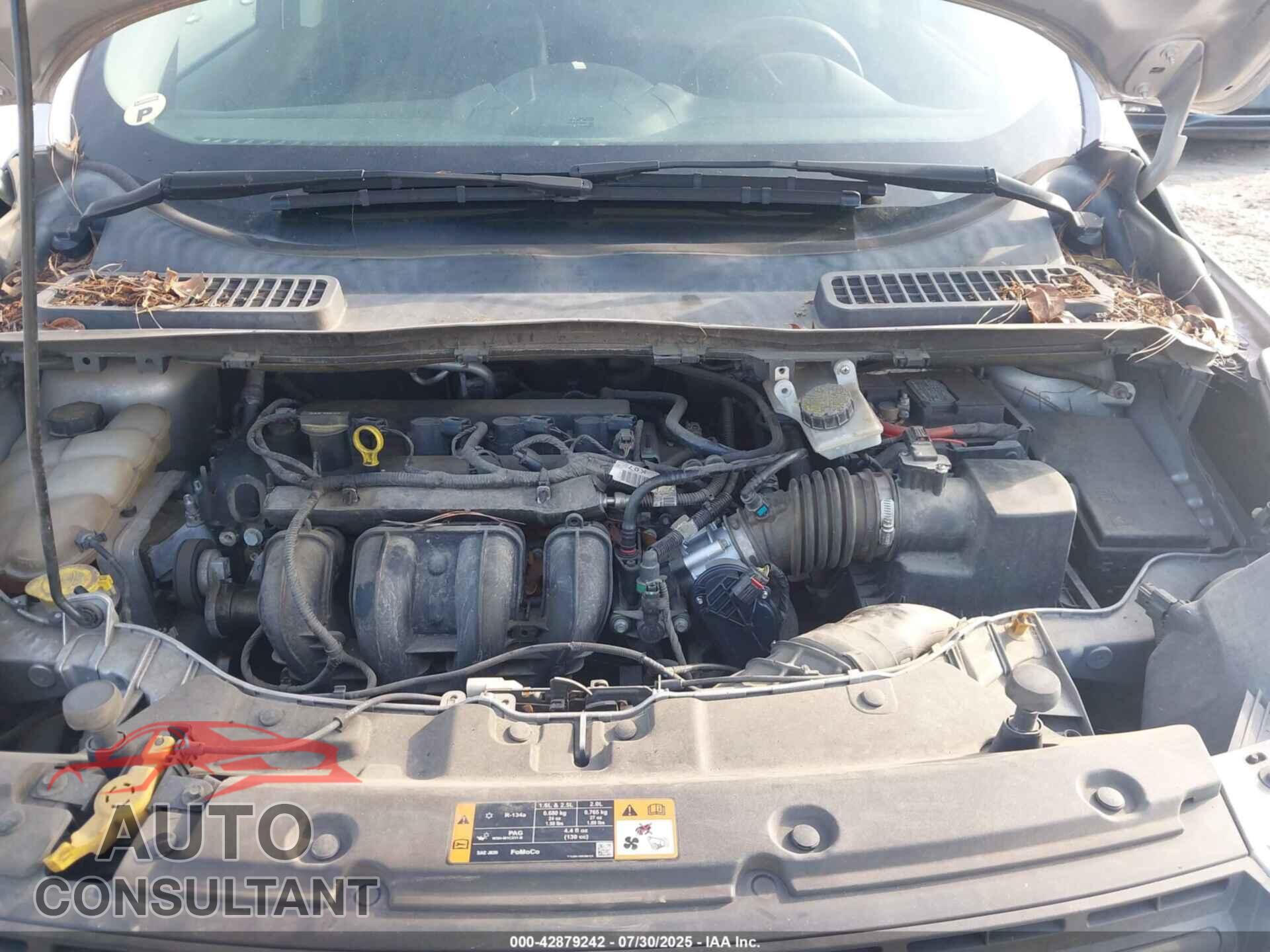 FORD ESCAPE 2016 - 1FMCU0F71GUA59627