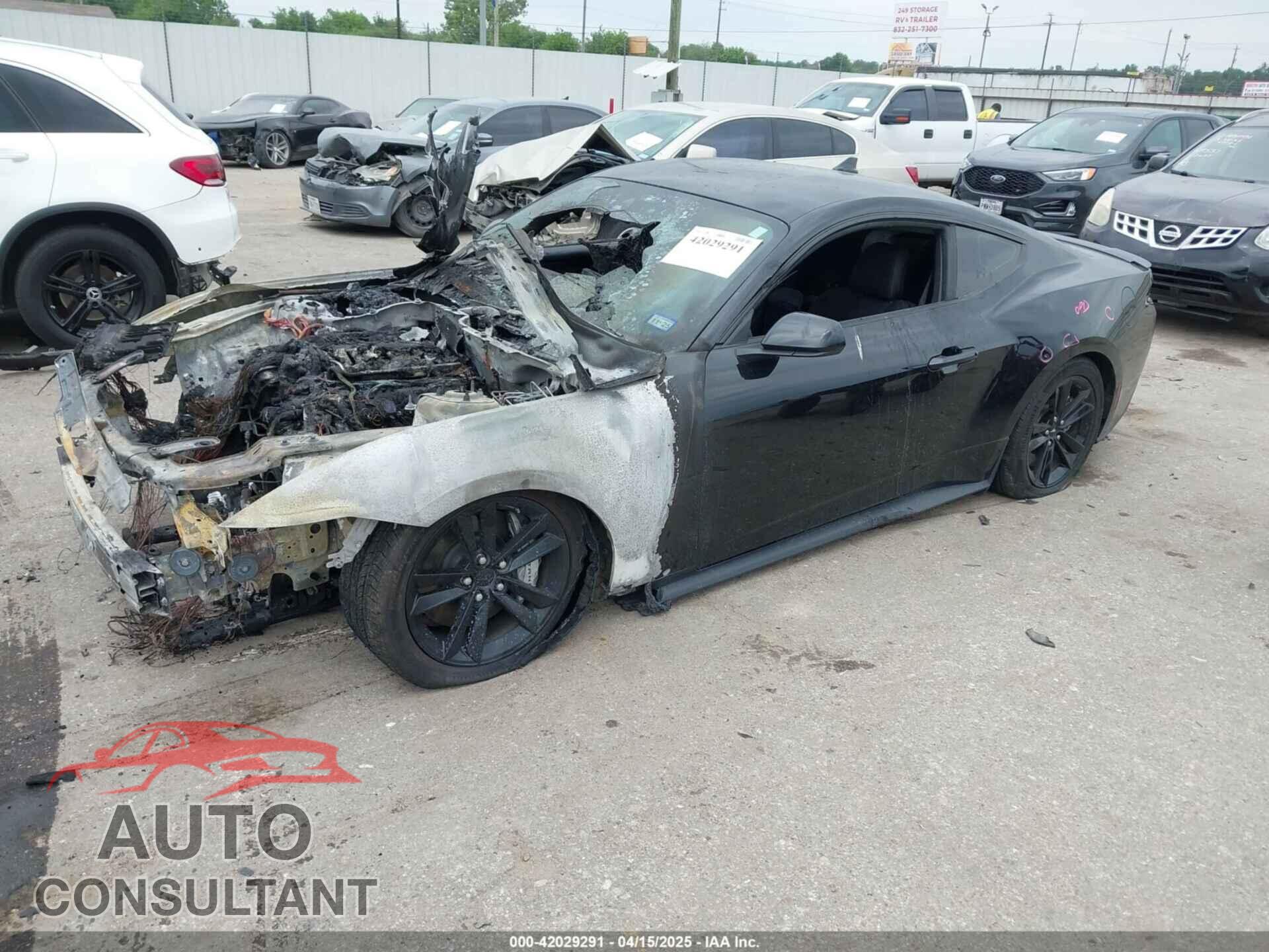 FORD MUSTANG 2024 - 1FA6P8CF0R5409089
