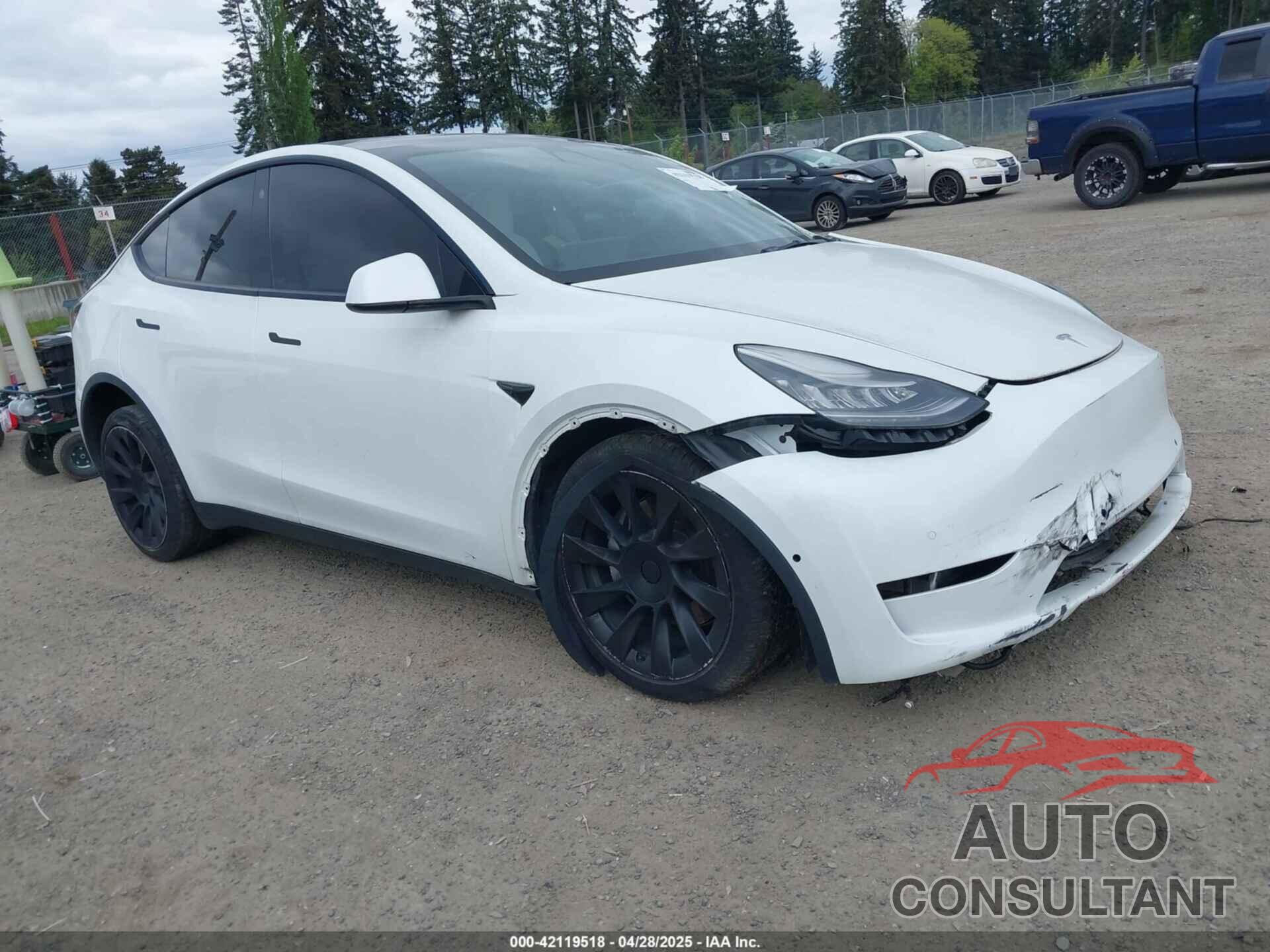 TESLA MODEL Y 2021 - 5YJYGDED9MF121828