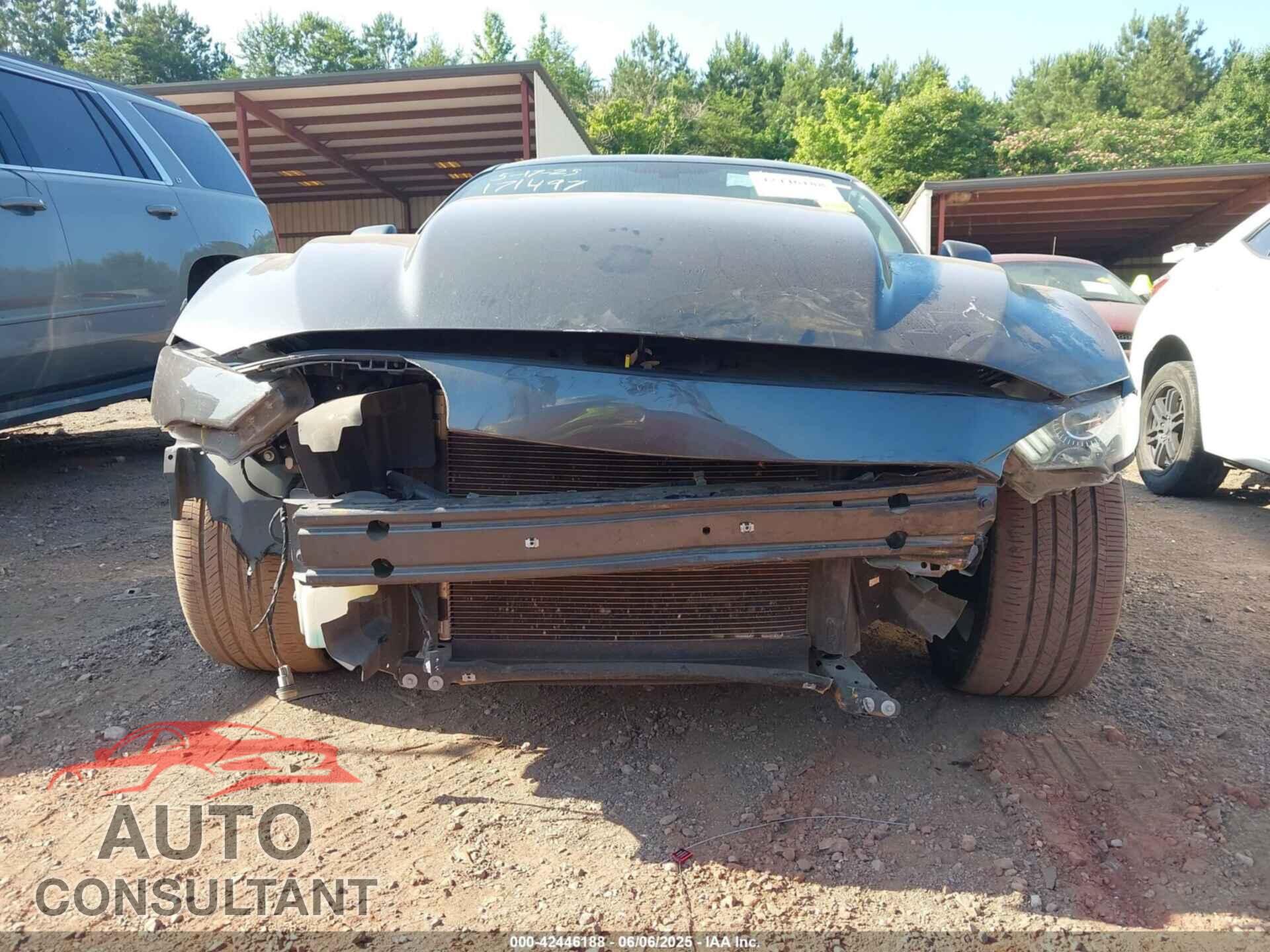 FORD MUSTANG 2019 - 1FA6P8CFXK5134045