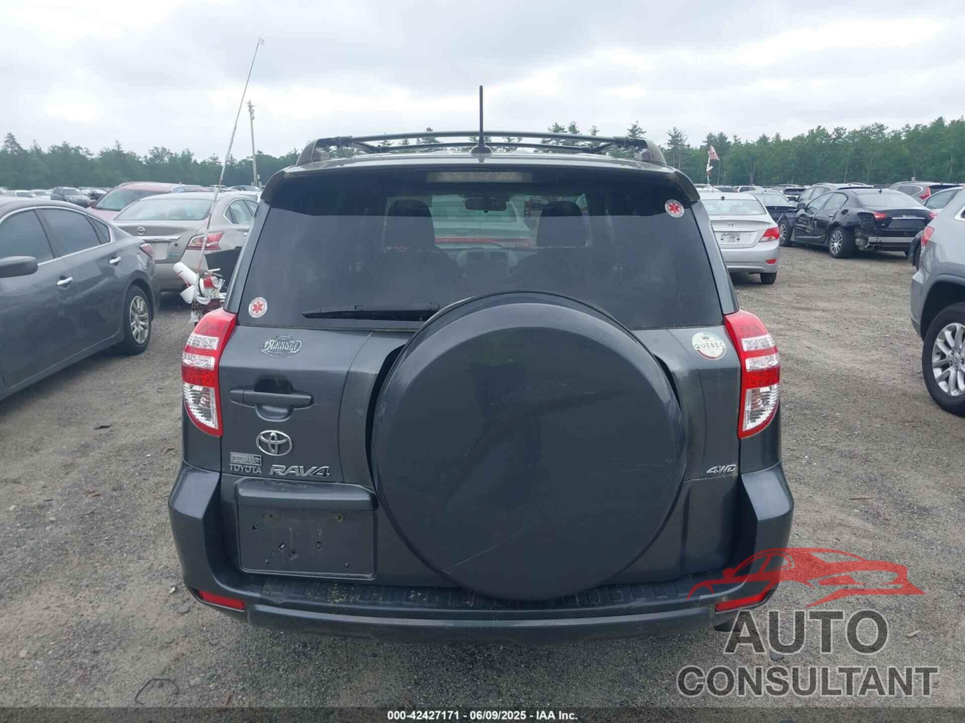 TOYOTA RAV4 2009 - JTMBF32V695006936