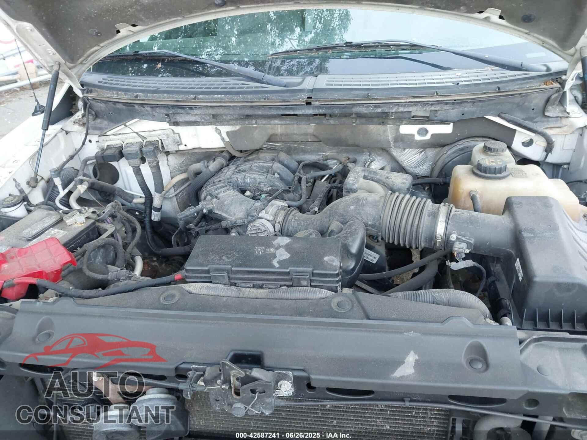 FORD F-150 2012 - 1FTEX1CM8CFC19442