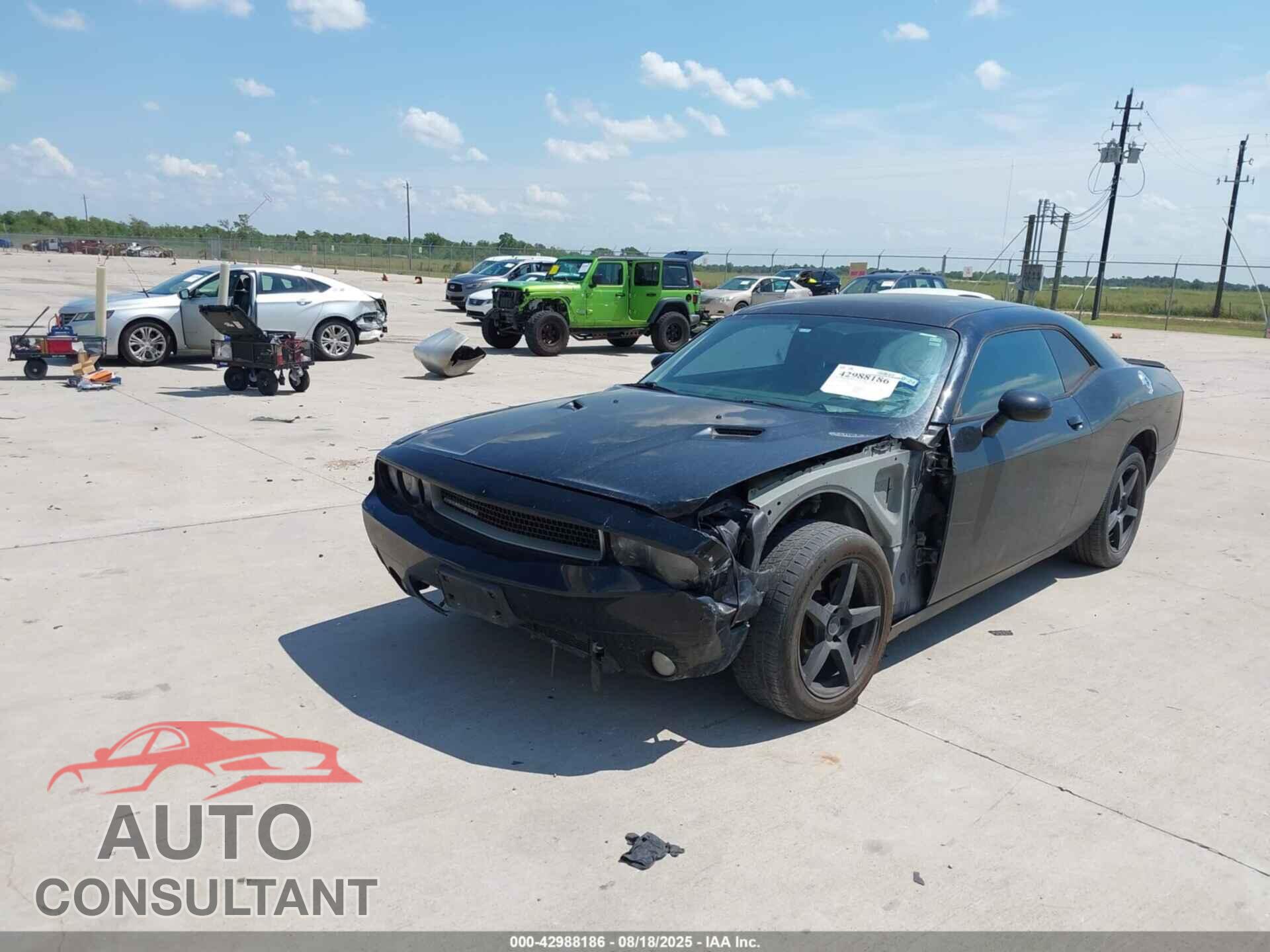 DODGE CHALLENGER 2013 - 2C3CDYAG2DH553783