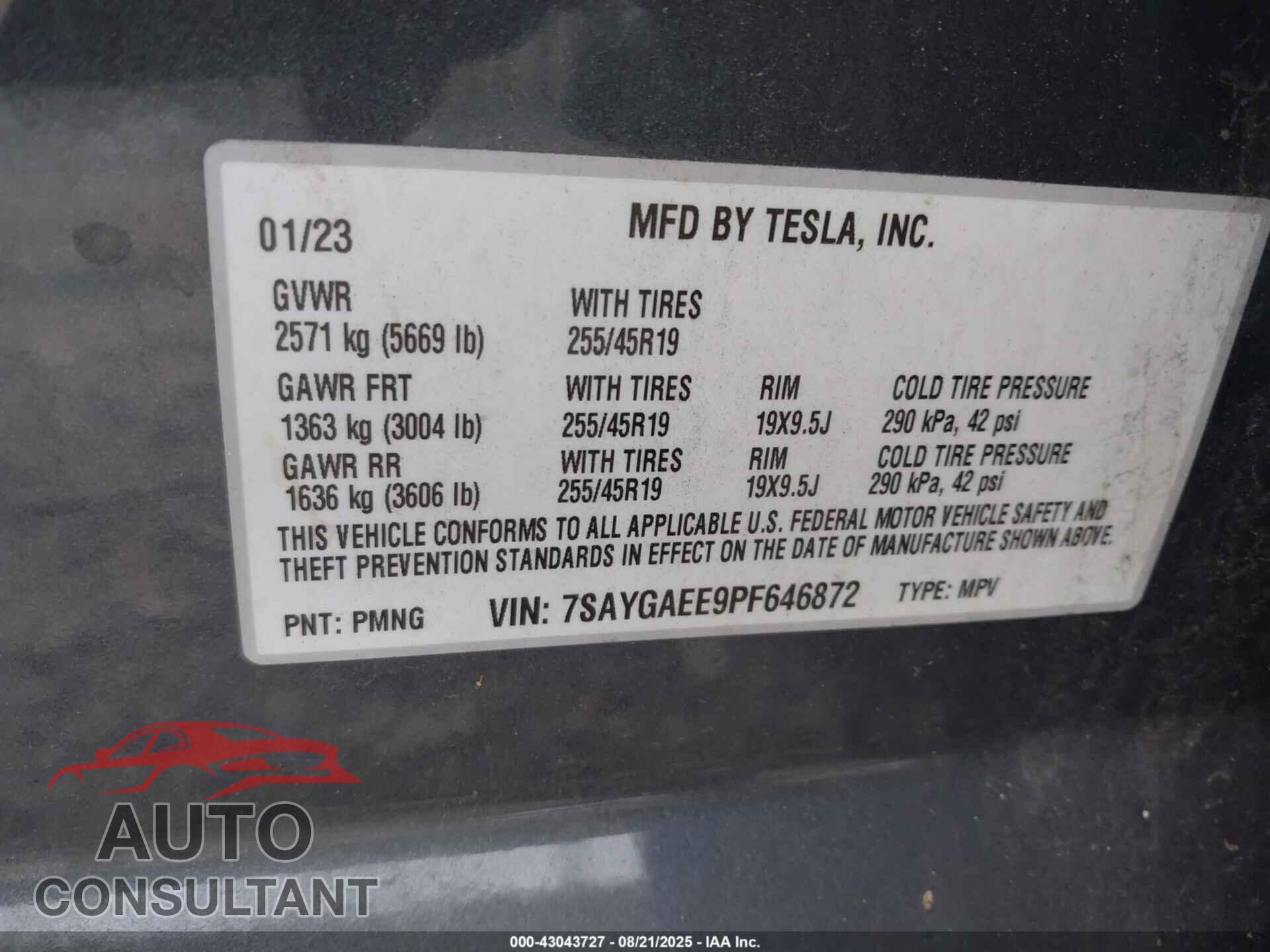 TESLA MODEL Y 2023 - 7SAYGAEE9PF646872