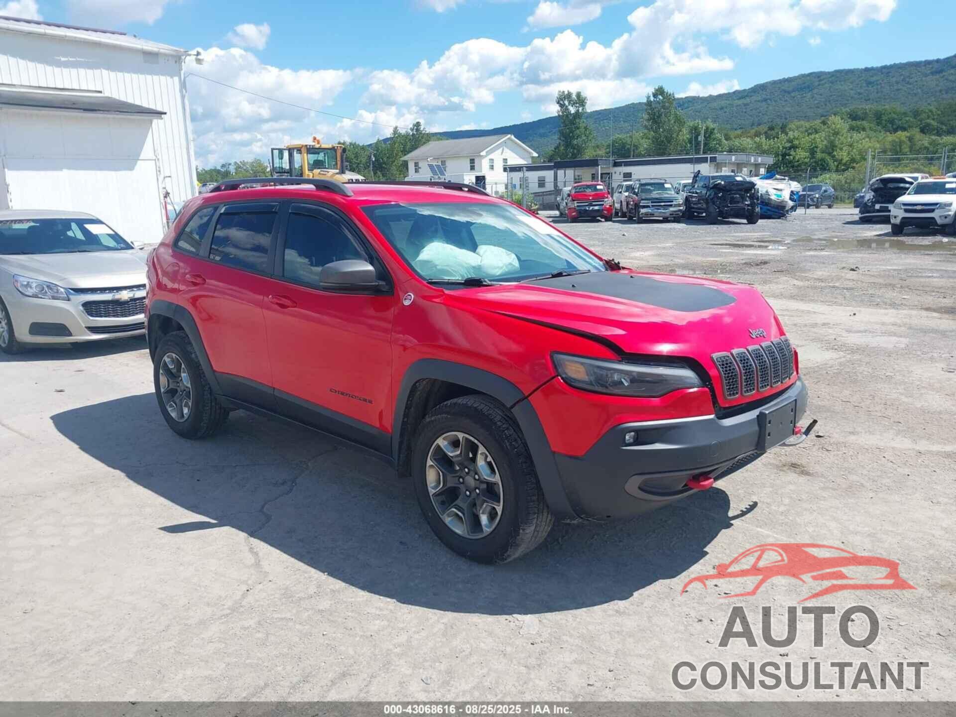JEEP CHEROKEE 2019 - 1C4PJMBX2KD362260