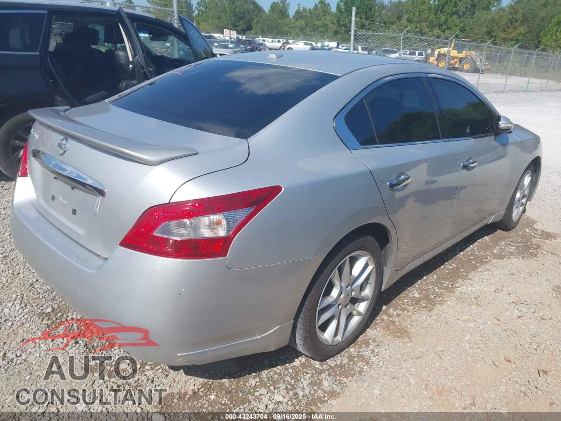 NISSAN MAXIMA 2011 - 1N4AA5AP5BC836677