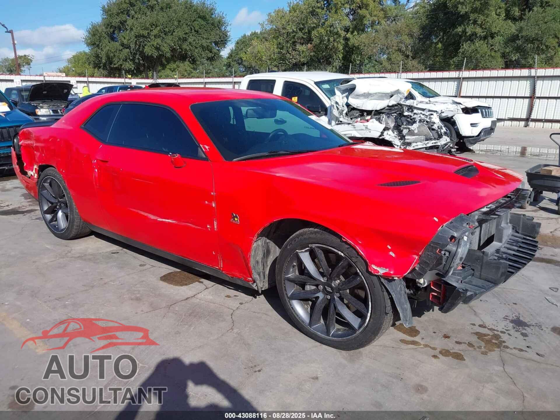 DODGE CHALLENGER 2019 - 2C3CDZFJ2KH621166