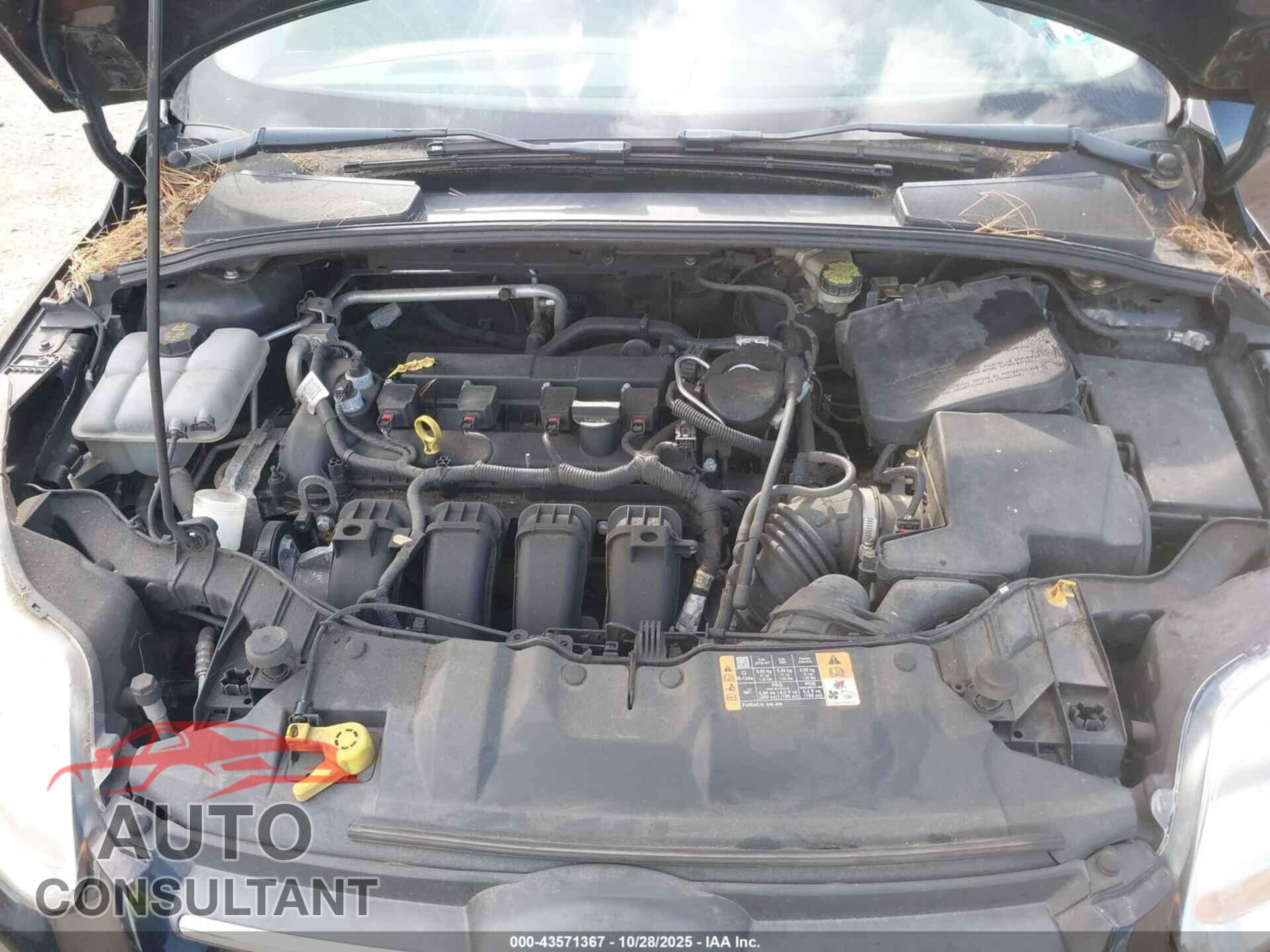 FORD FOCUS 2014 - 1FADP3F21EL320236