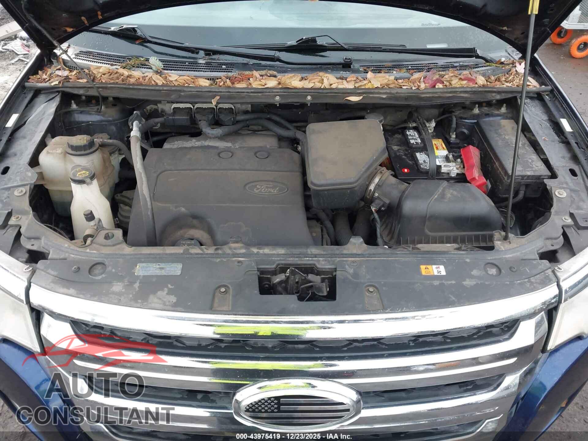FORD EDGE 2011 - 2FMDK3JC2BBB39291