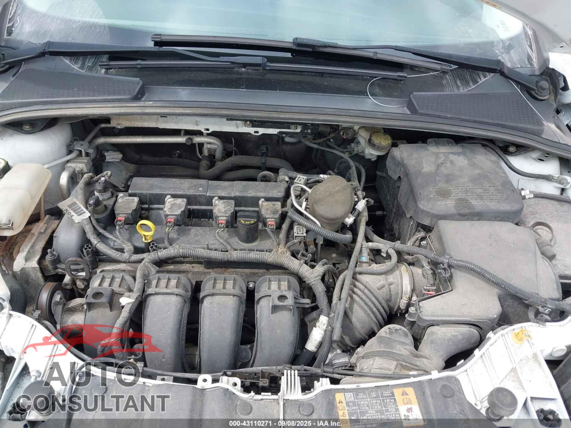 FORD FOCUS 2014 - 1FADP3F29EL391071