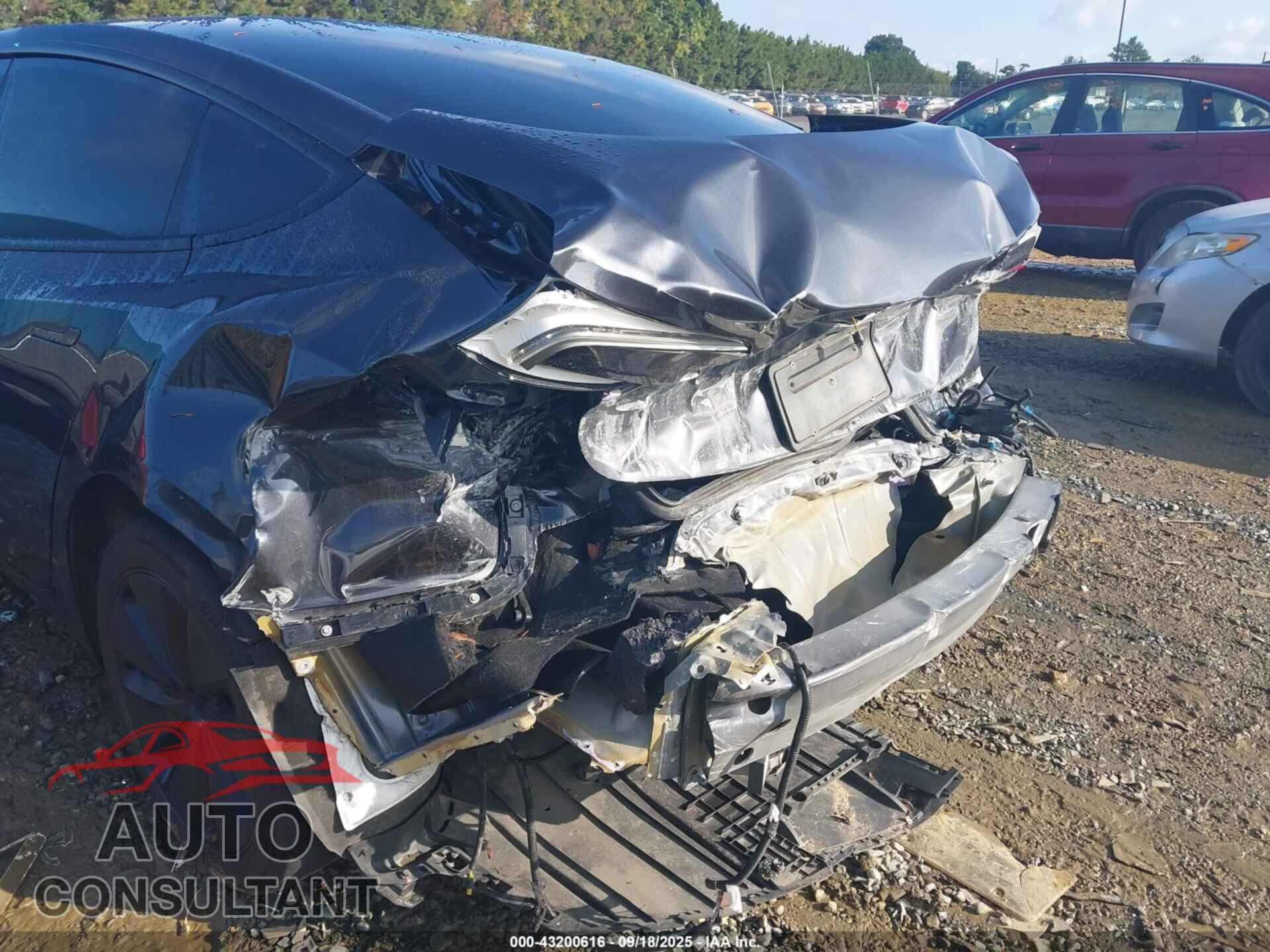 TESLA MODEL 3 2024 - 5YJ3E1EAXRF770629