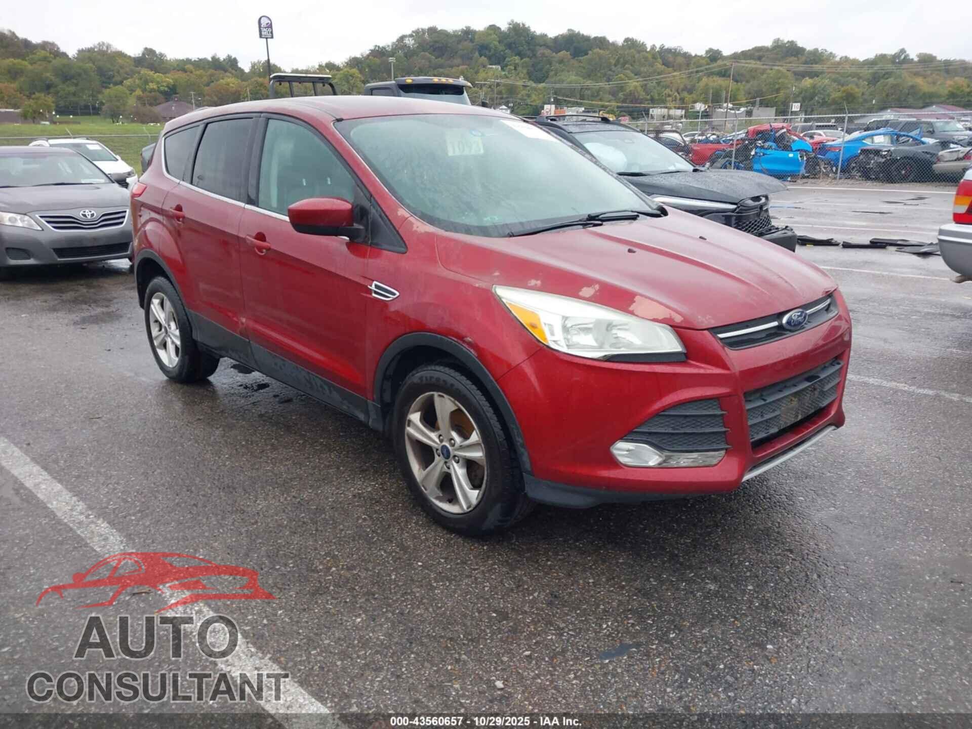 FORD ESCAPE 2014 - 1FMCU0GX8EUB29961