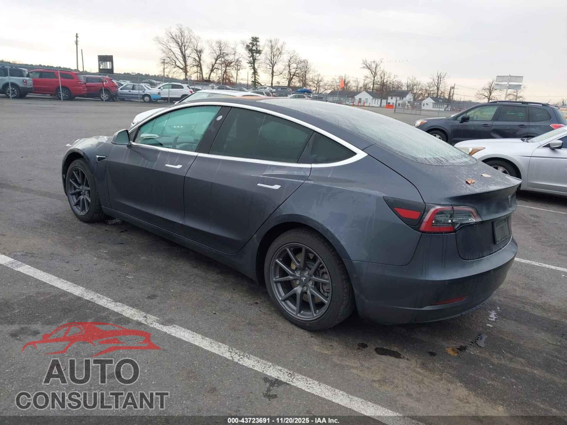 TESLA MODEL 3 2019 - 5YJ3E1EA3KF307527
