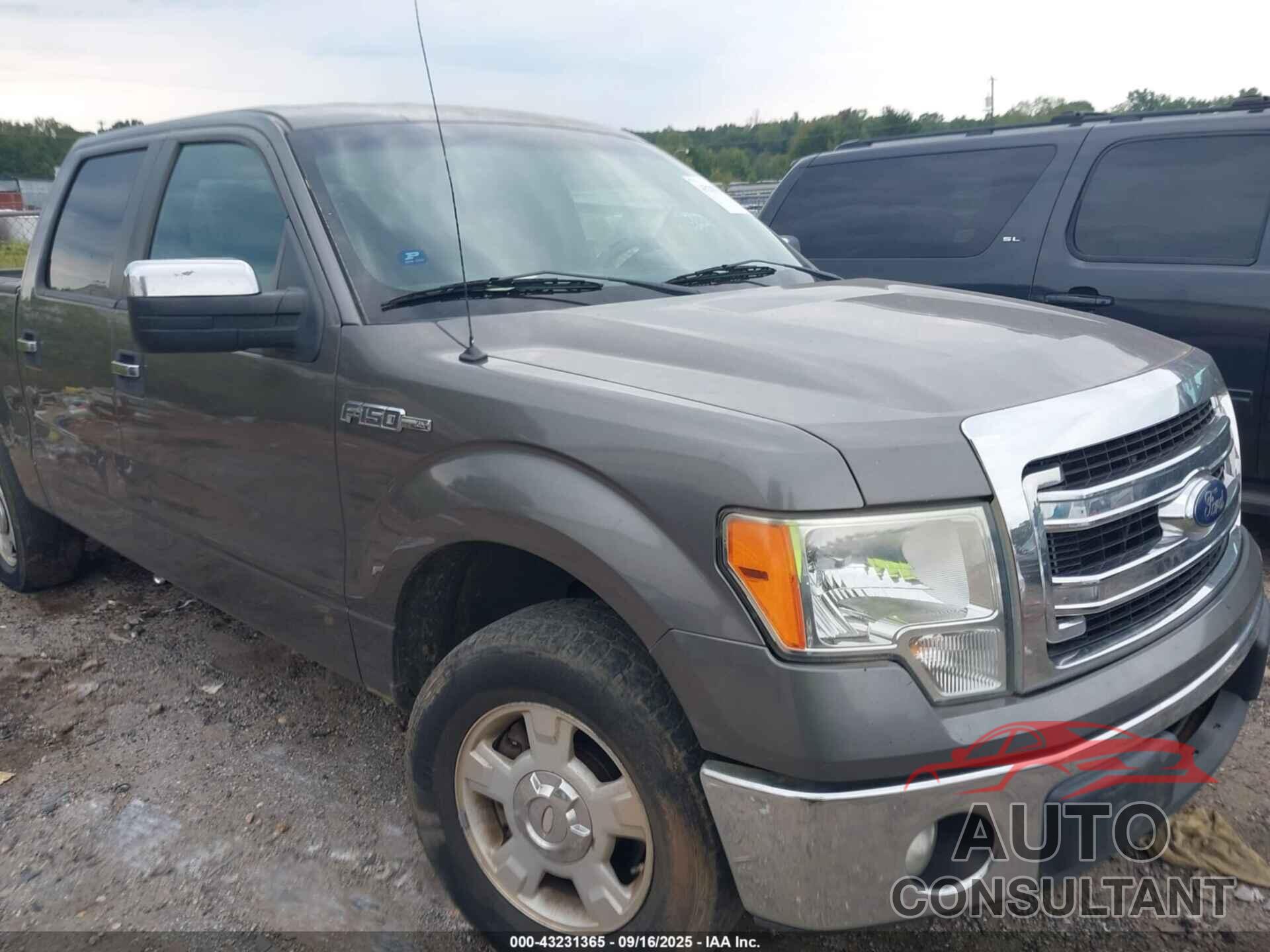 FORD F-150 2013 - 1FTEW1CMXDFA32157