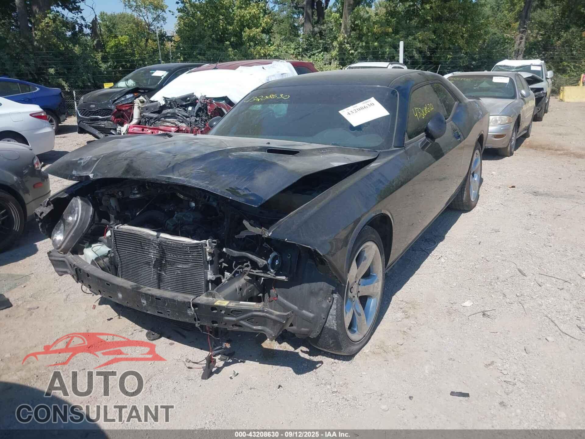 DODGE CHALLENGER 2013 - 2C3CDYBT3DH712693