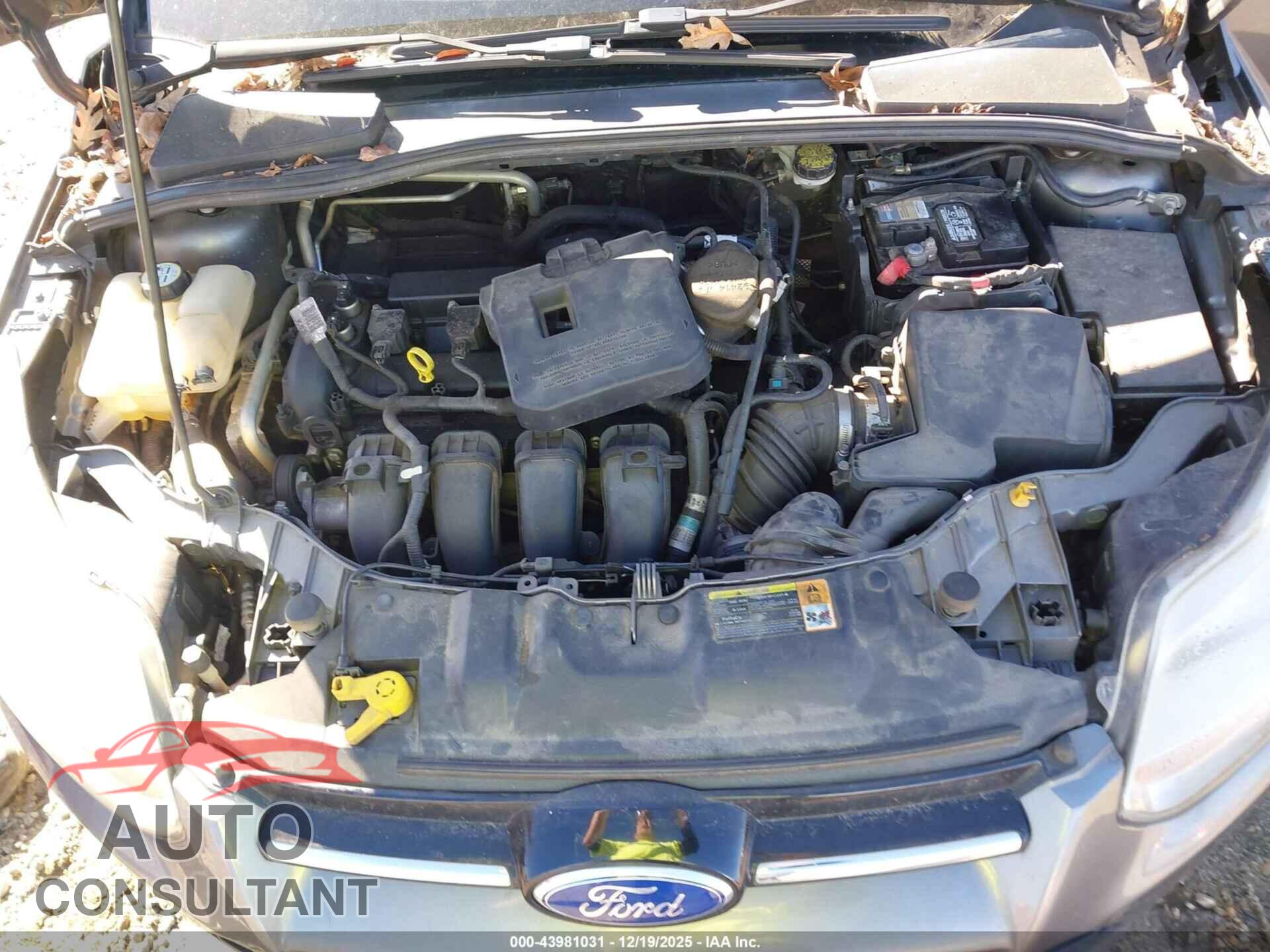 FORD FOCUS 2012 - 1FAHP3M25CL252492