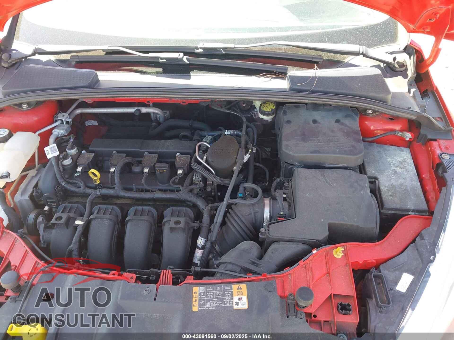 FORD FOCUS 2016 - 1FADP3K26GL271365
