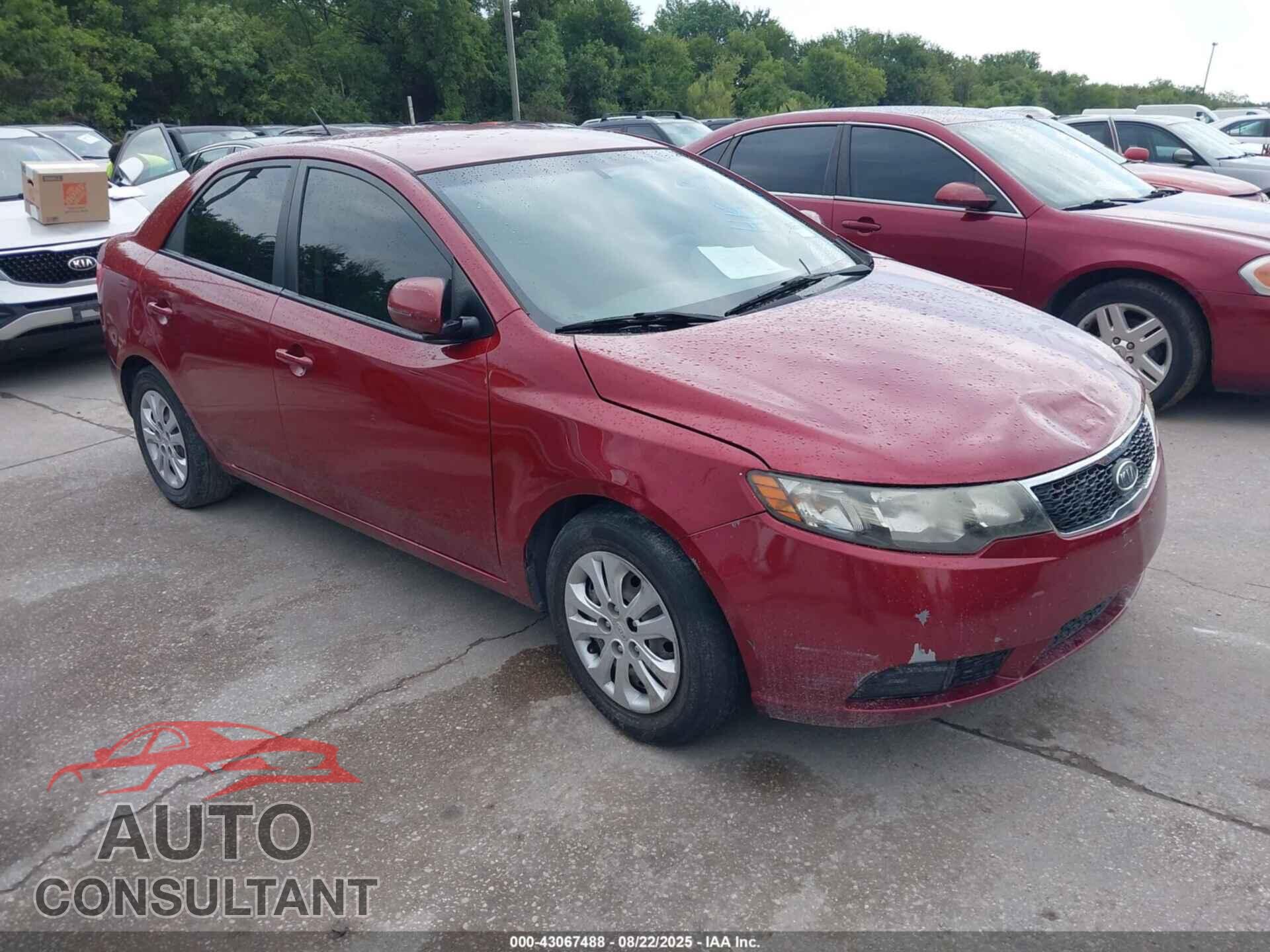 KIA FORTE 2012 - KNAFU4A2XC5584479