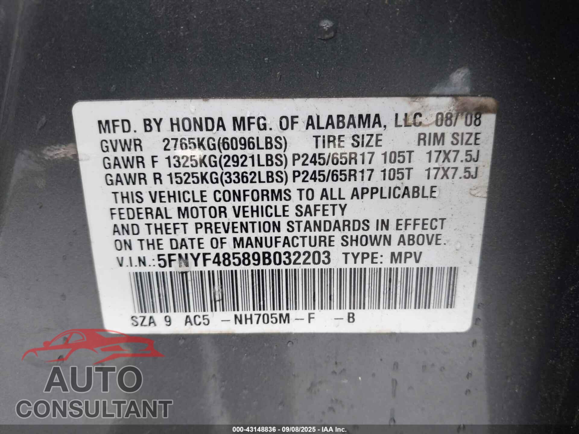 HONDA PILOT 2009 - 5FNYF48589B032203