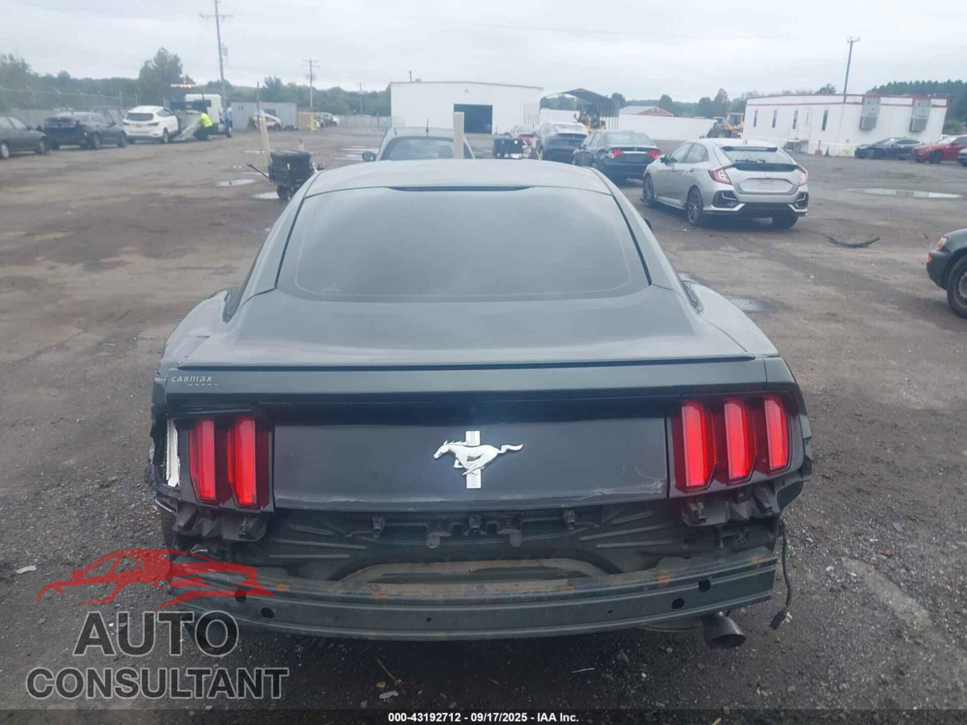 FORD MUSTANG 2015 - 1FA6P8AM6F5336341