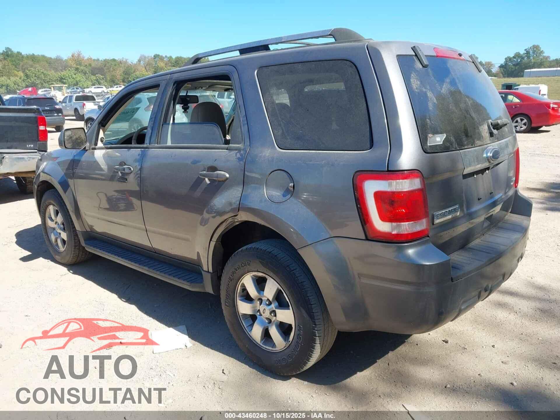 FORD ESCAPE 2010 - 1FMCU0EGXAKC87856