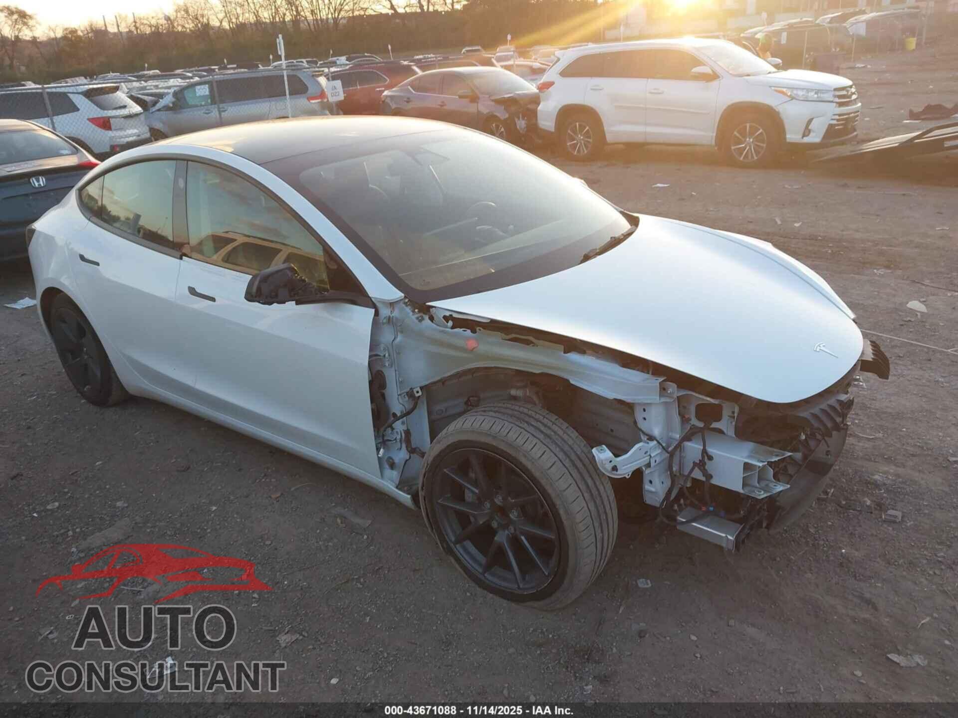 TESLA MODEL 3 2021 - 5YJ3E1EA4MF096275