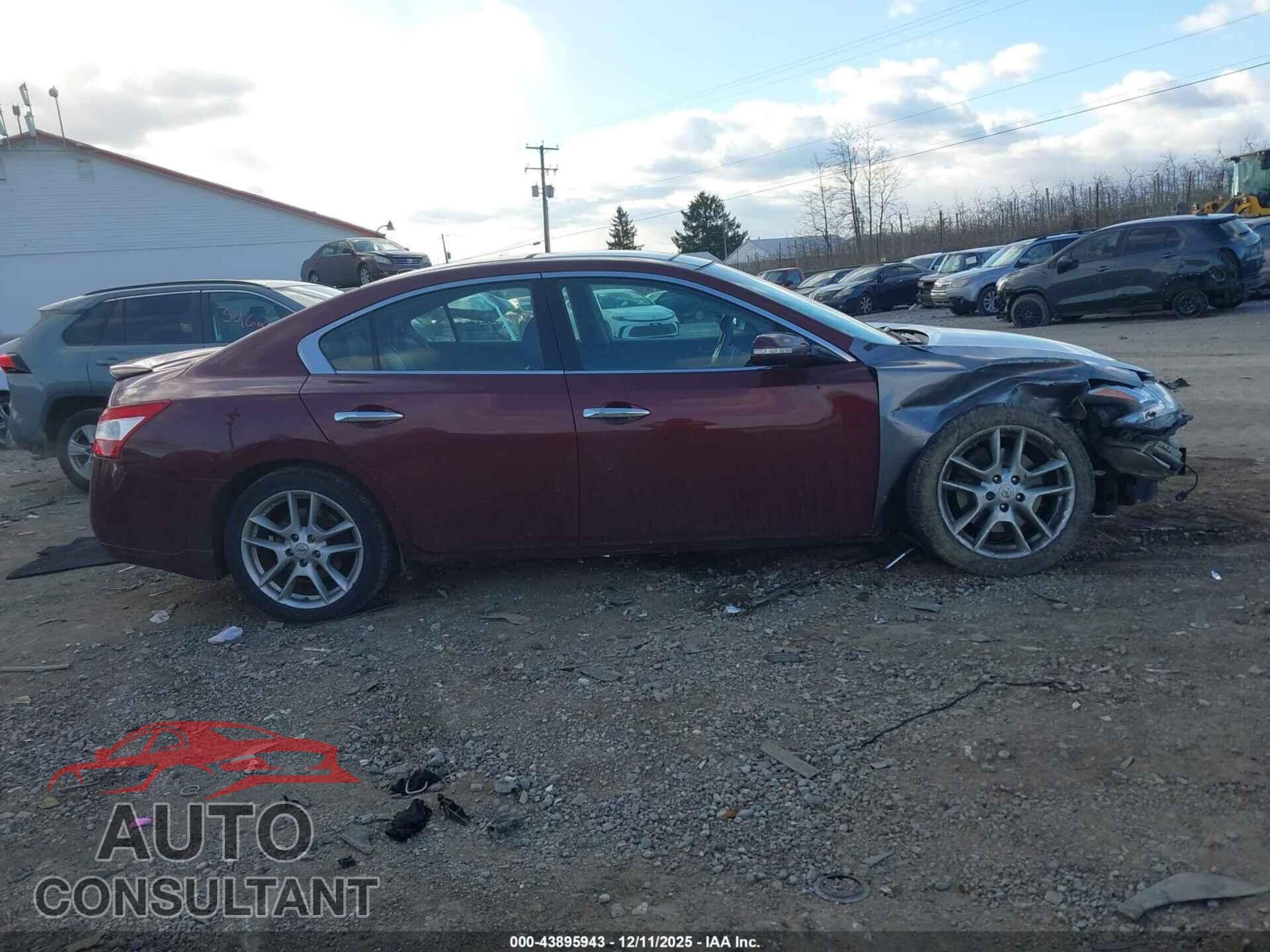 NISSAN MAXIMA 2011 - 1N4AA5AP1BC850270