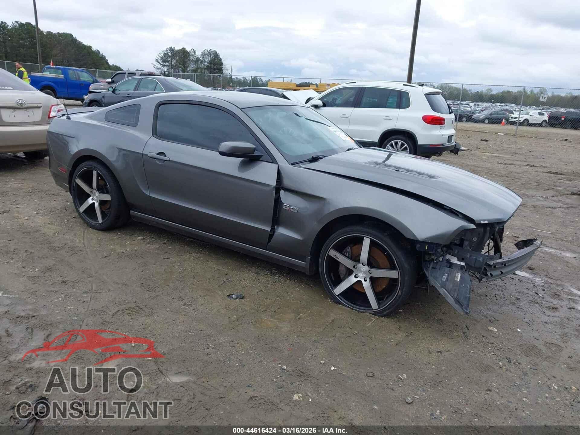 FORD MUSTANG 2013 - 1ZVBP8CF9D5229155