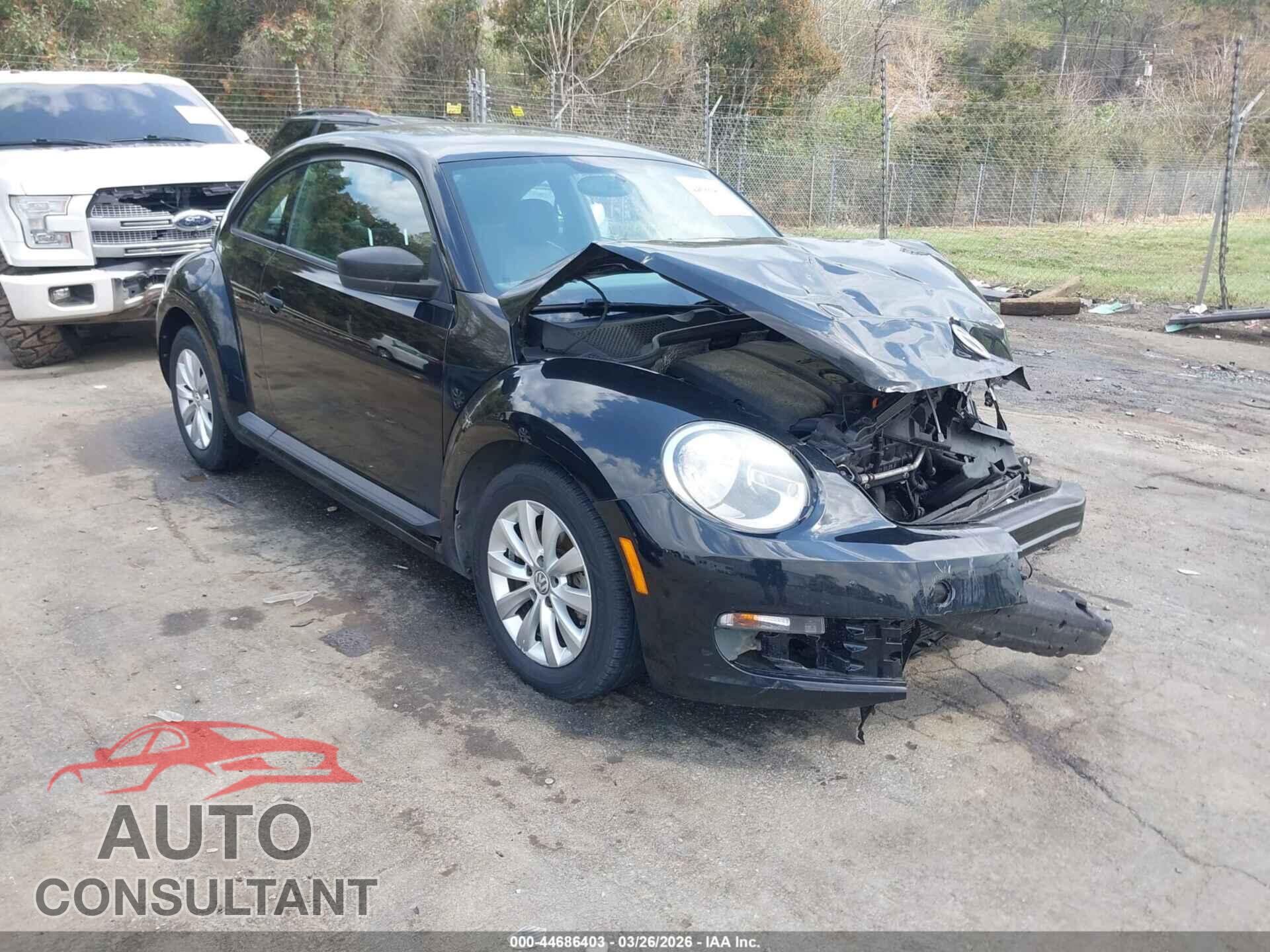 VOLKSWAGEN BEETLE 2013 - 3VWFP7AT4DM659318