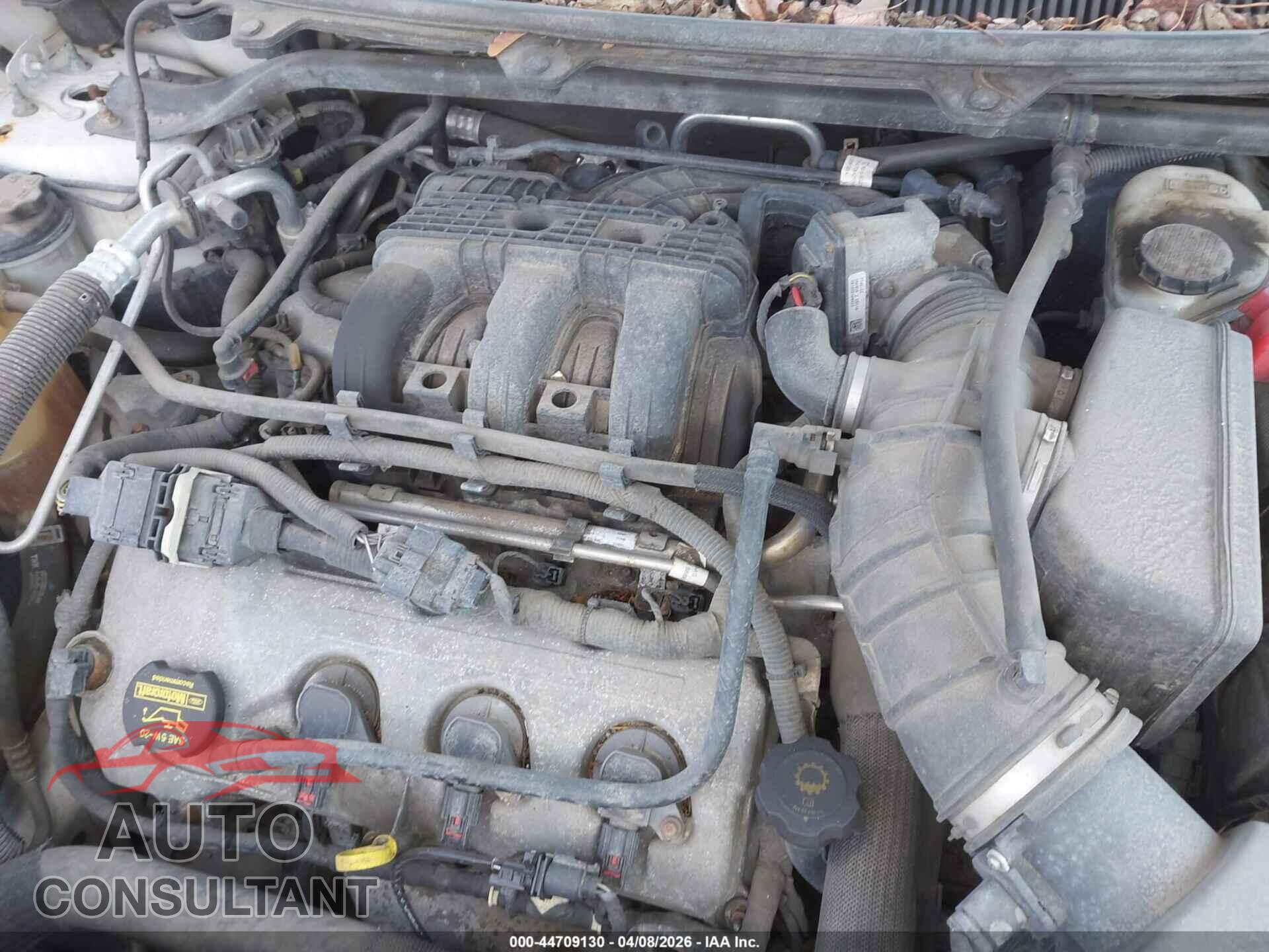 FORD FLEX 2009 - 2FMDK52C09BA46094