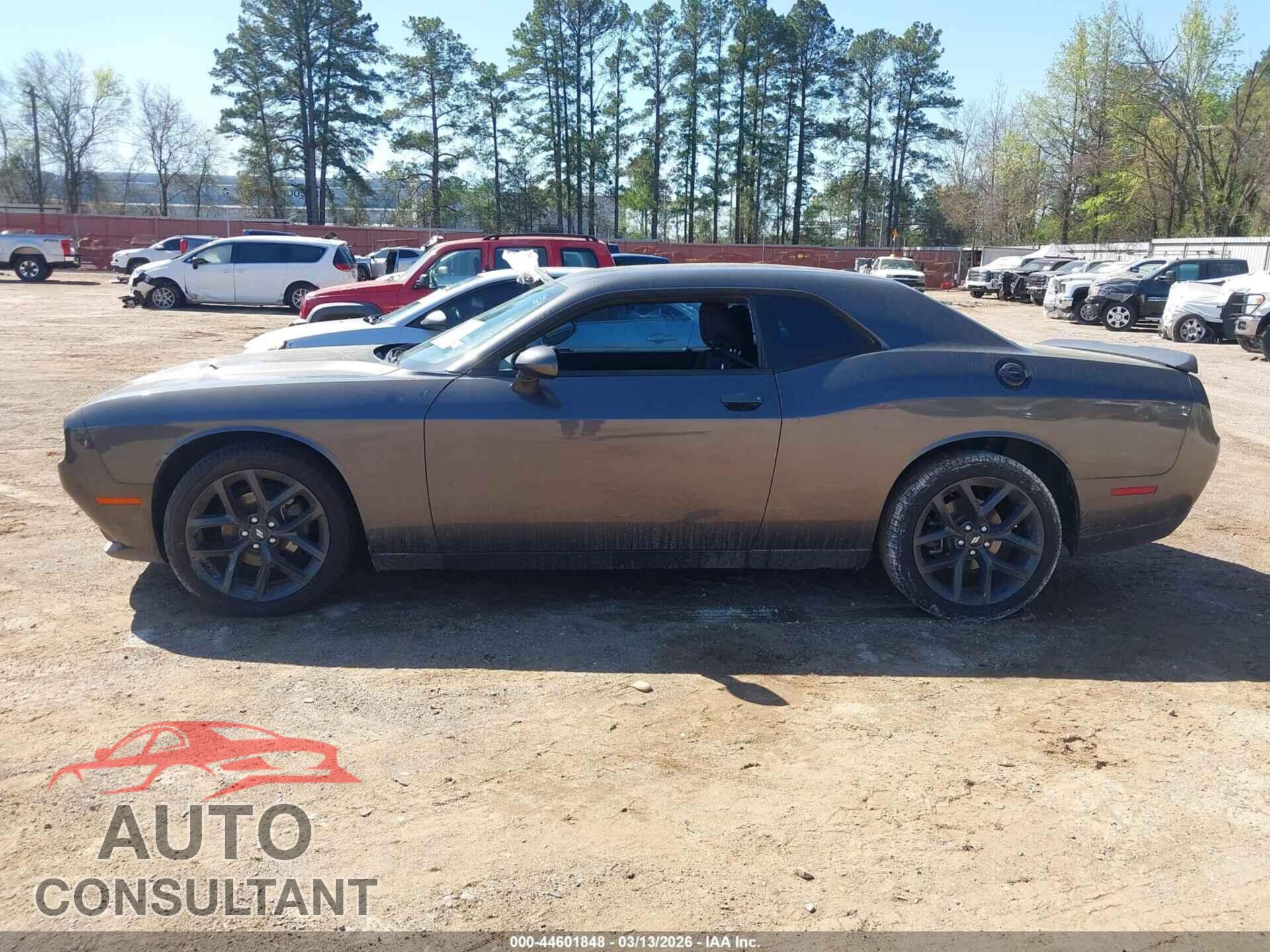 DODGE CHALLENGER 2019 - 2C3CDZAG6KH596350