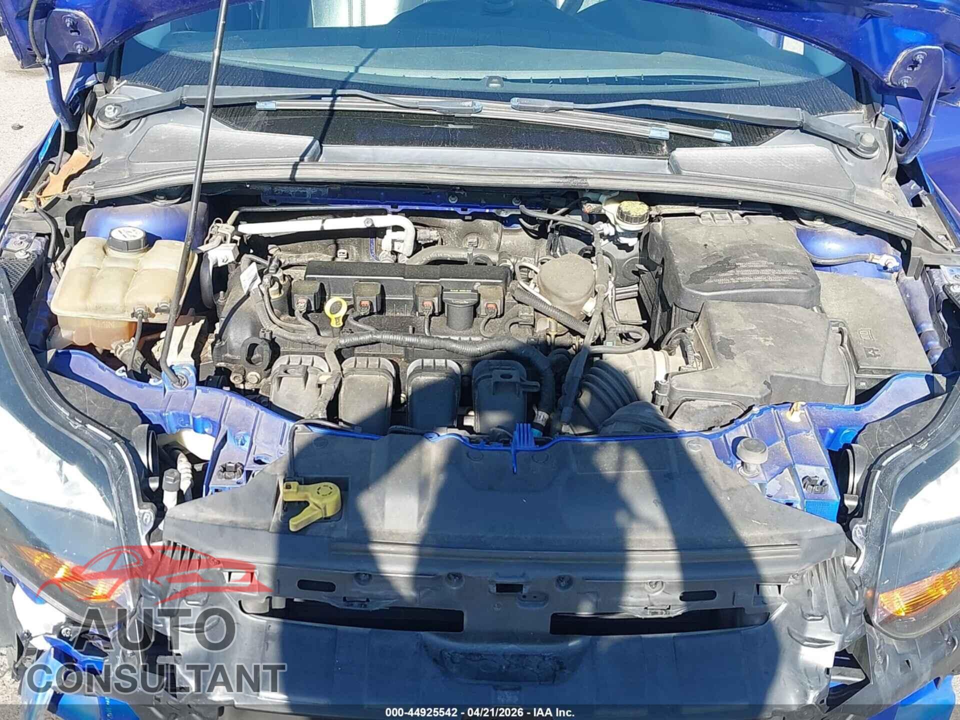 FORD FOCUS 2013 - 1FADP3K24DL217414