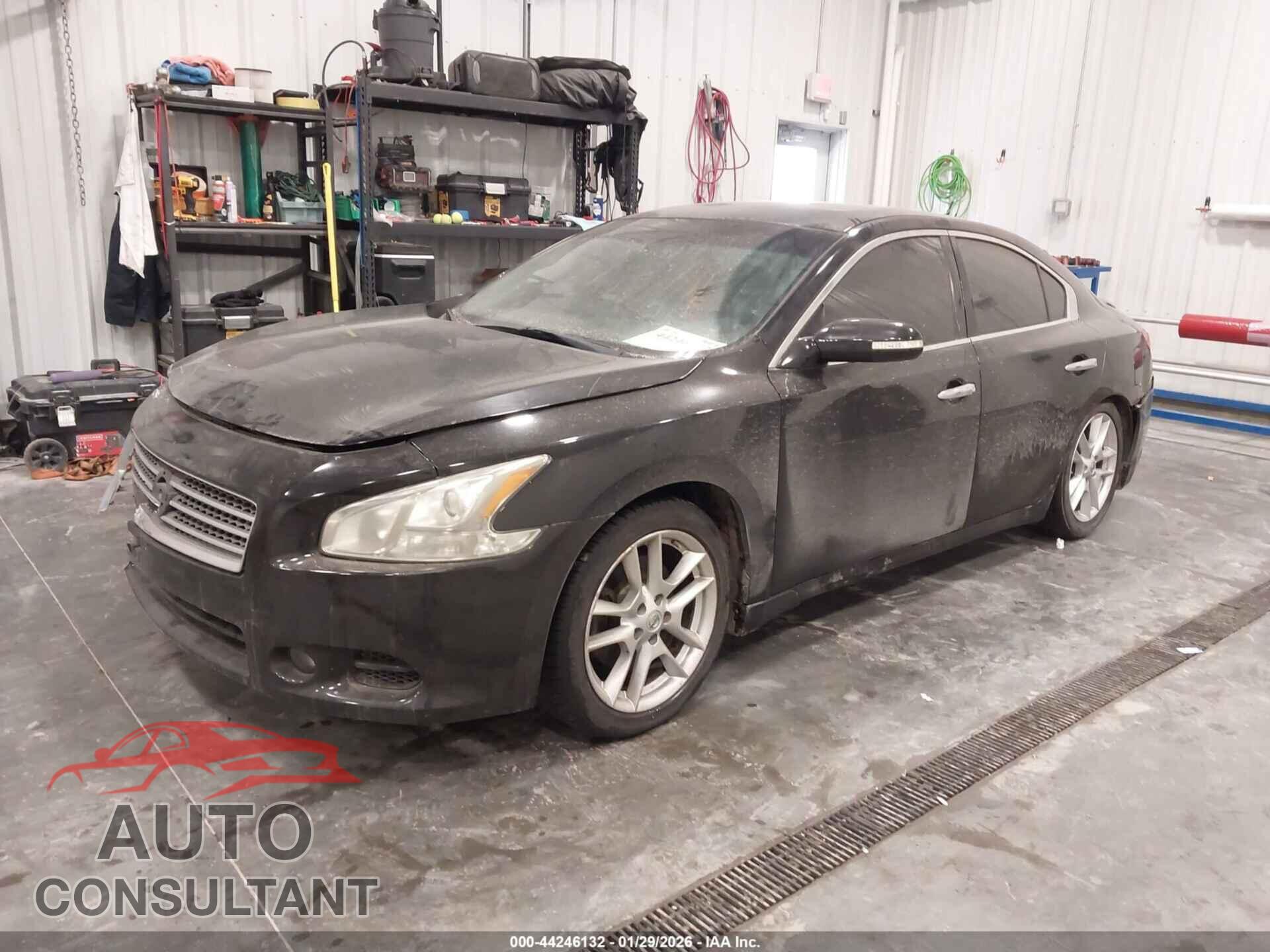 NISSAN MAXIMA 2011 - 1N4AA5AP3BC869239