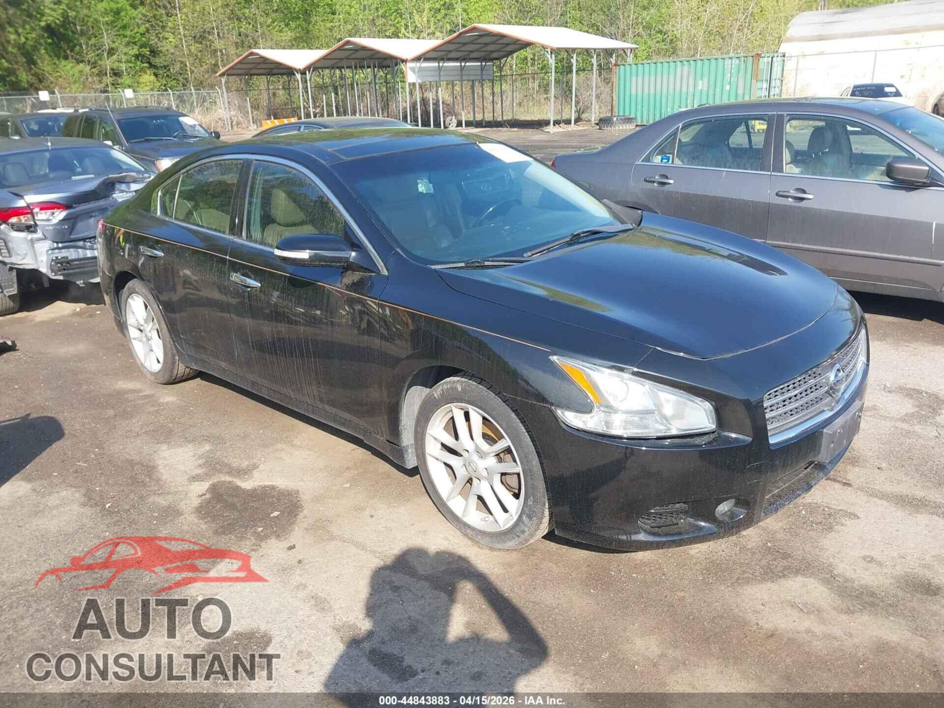 NISSAN MAXIMA 2011 - 1N4AA5AP9BC851702