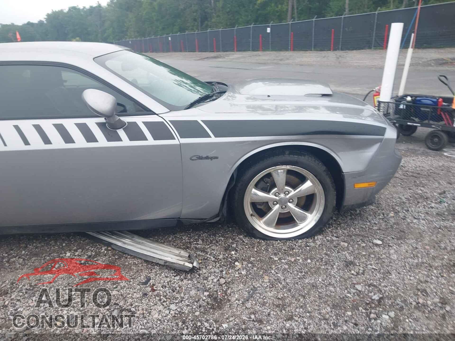 DODGE CHALLENGER 2013 - 2C3CDYBT3DH629281