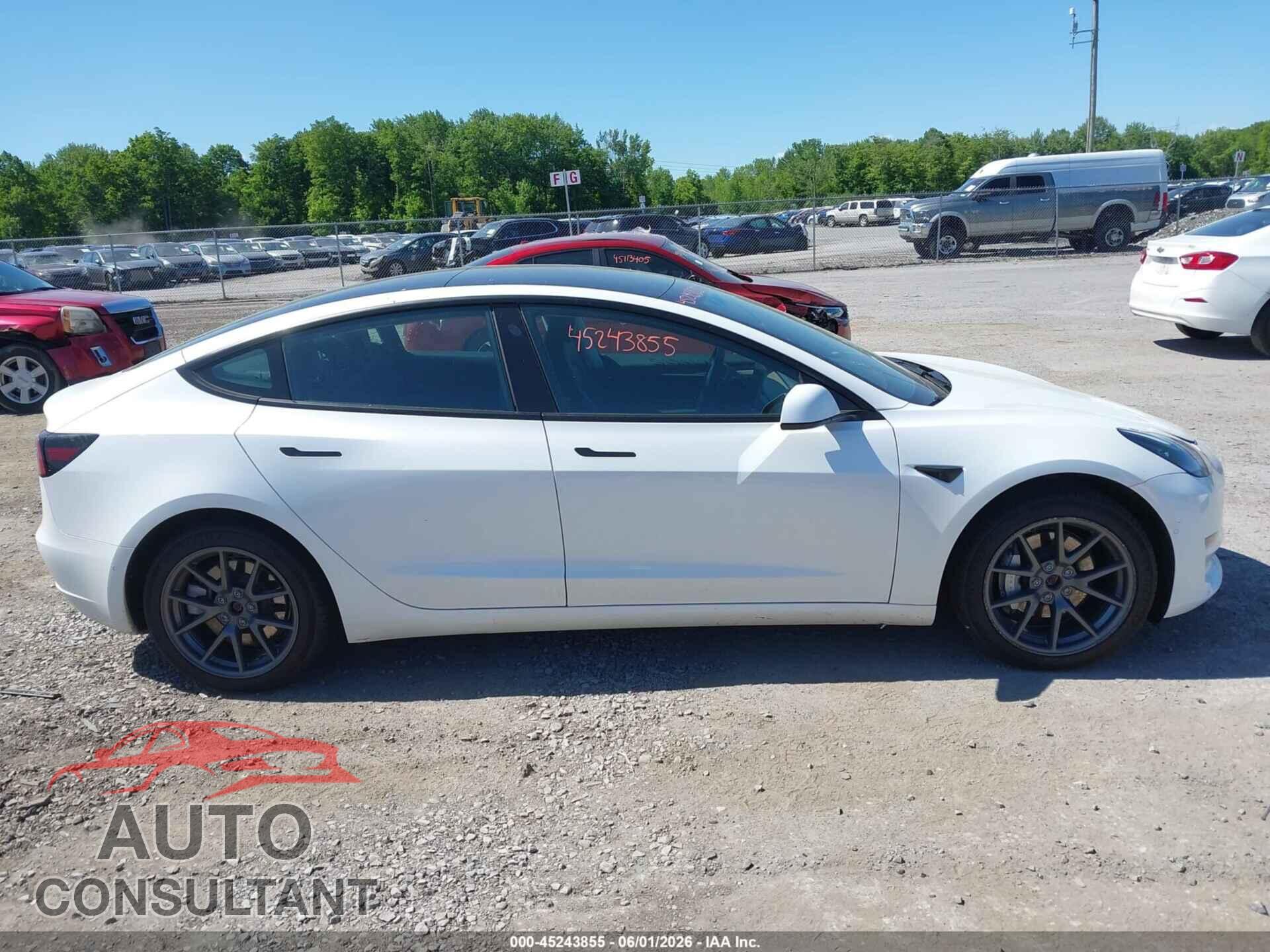 TESLA MODEL 3 2021 - 5YJ3E1EB7MF048388