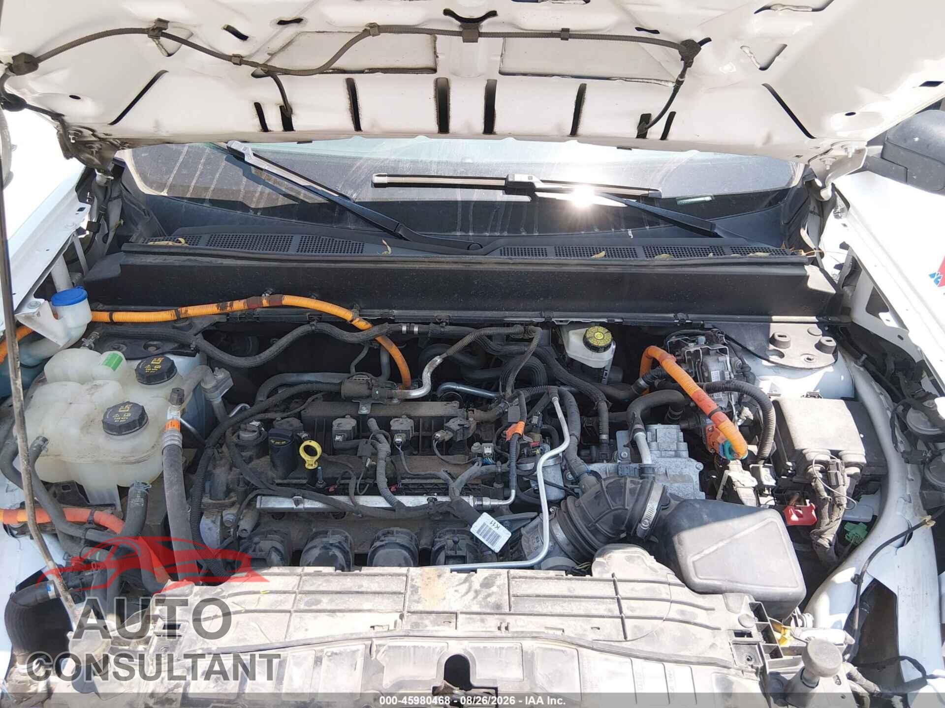 FORD MAVERICK 2023 - 3FTTW8E3XPRA95187